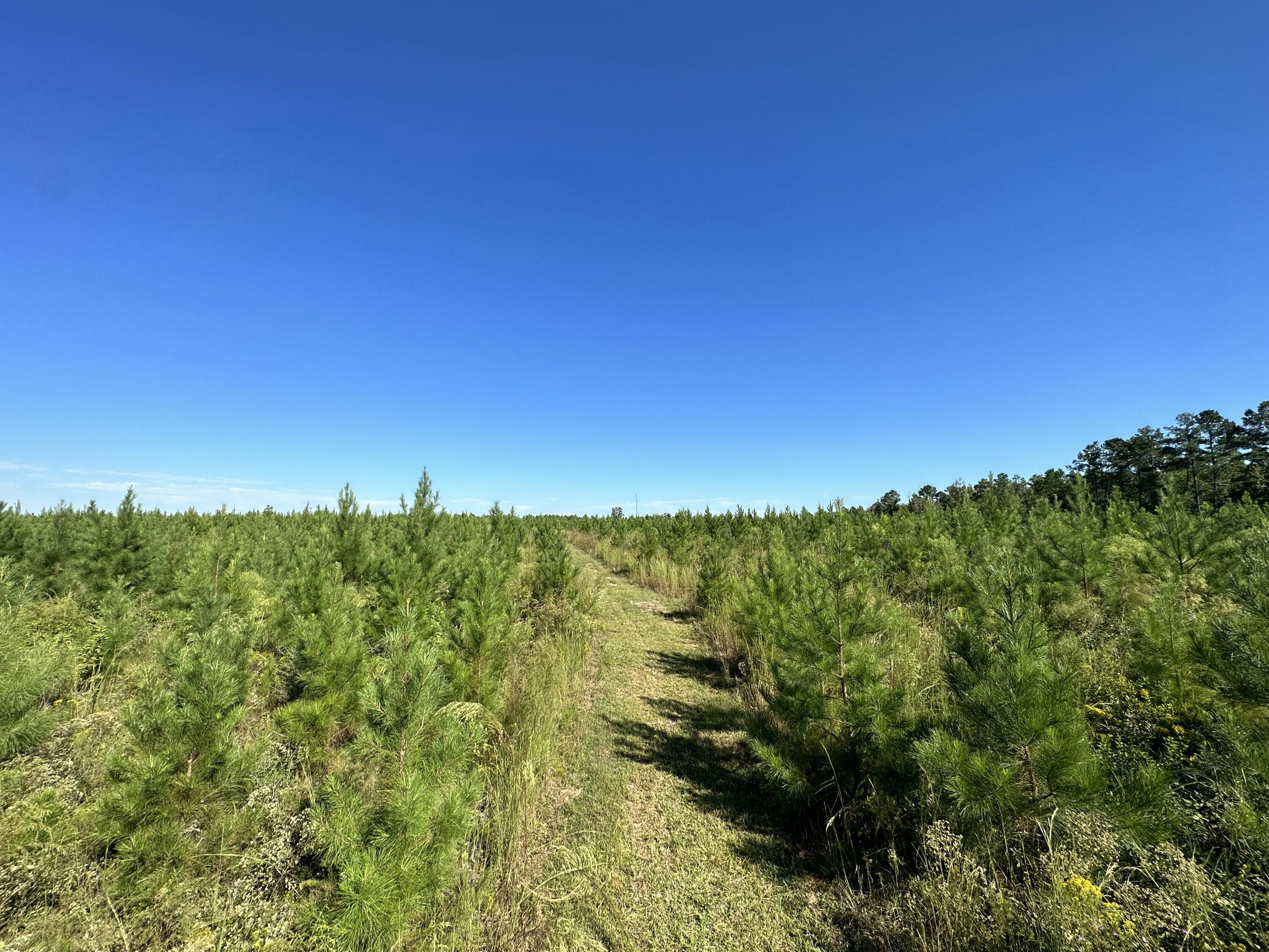 NO RECORDED SUBDIVISION - Land