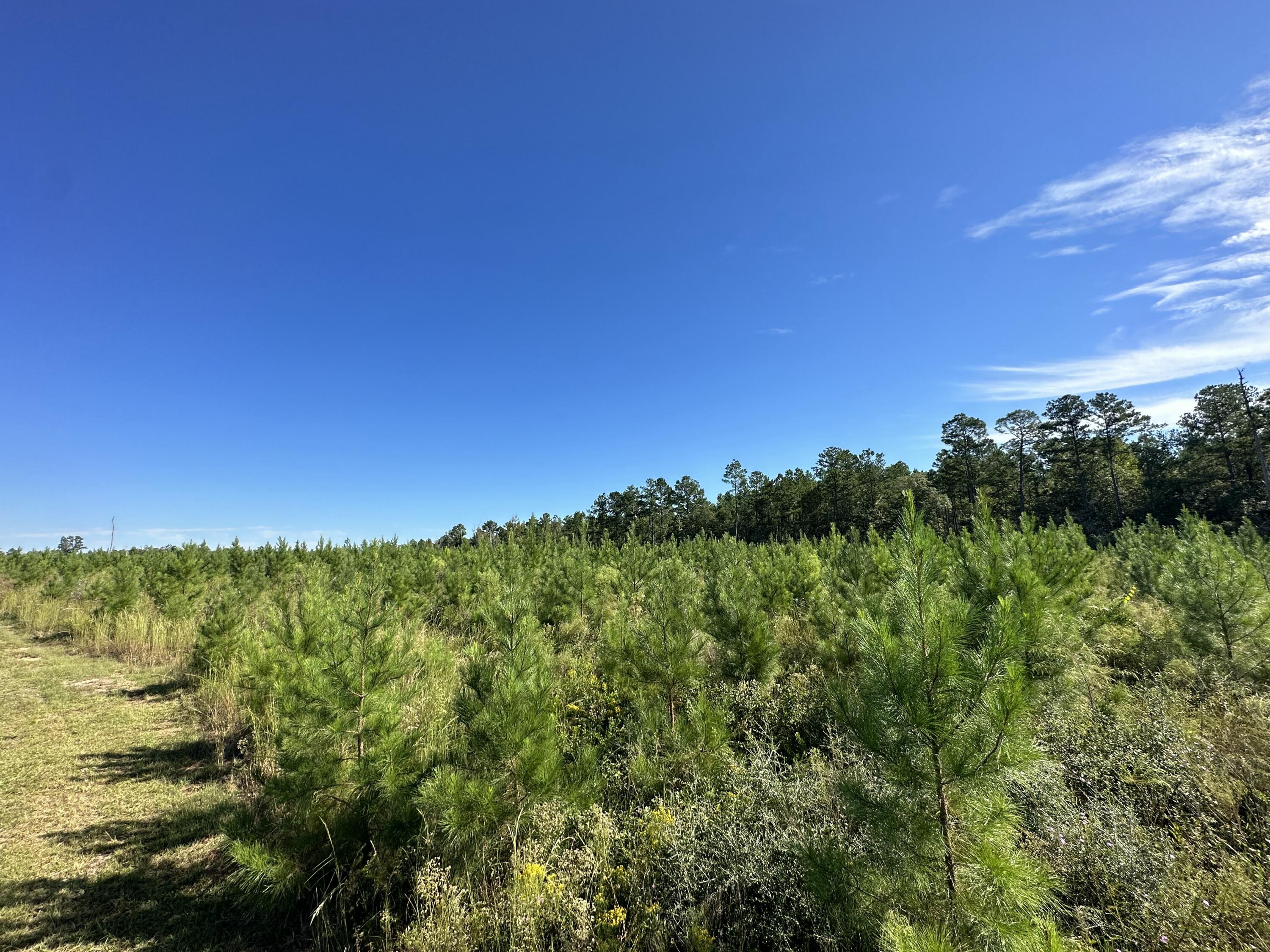 NO RECORDED SUBDIVISION - Land