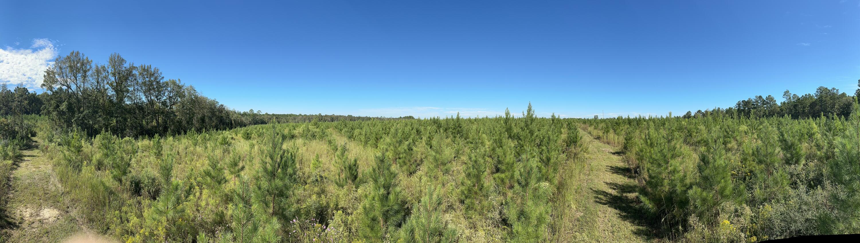 NO RECORDED SUBDIVISION - Land