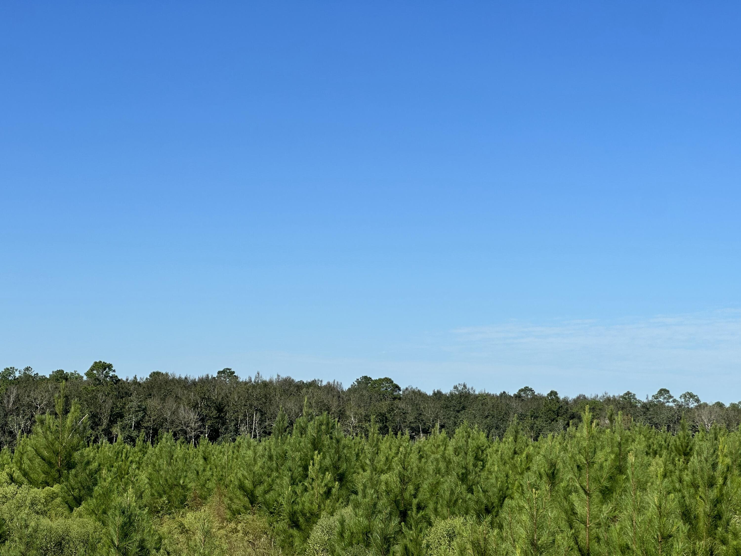 Private North Florida Acreage with Room to Expand! This 10.06 +/- acre parcel offers a quiet, rural escape along Millside Road in Laurel Hill--perfect for a barndominium, mini farm, or weekend retreat. Zoned Agricultural, the land welcomes livestock, gardens, or simply space to enjoy the outdoors. With paving improvements underway on Millside Road, access is improving while the peaceful, lightly developed surroundings remain. Parcel E adjoins Parcel D, a 17.89 +/- acre tract also available for purchase--presenting a rare opportunity to own up to nearly 28 contiguous acres. Shown by appointment only; property is under a hunting lease through July 31, 2025.