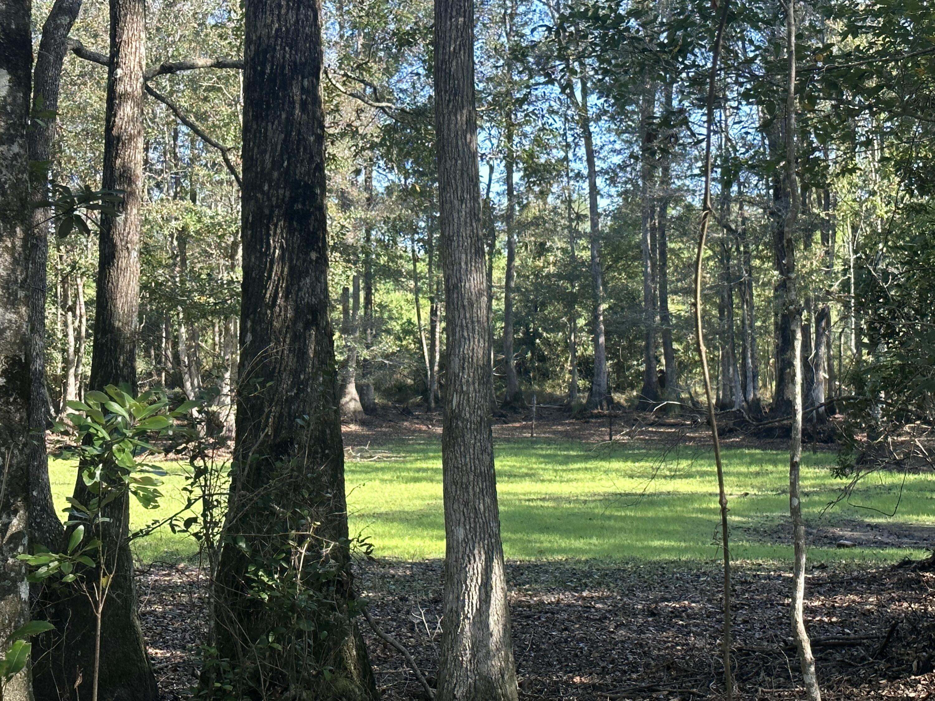 NO RECORDED SUBDIVISION - Land