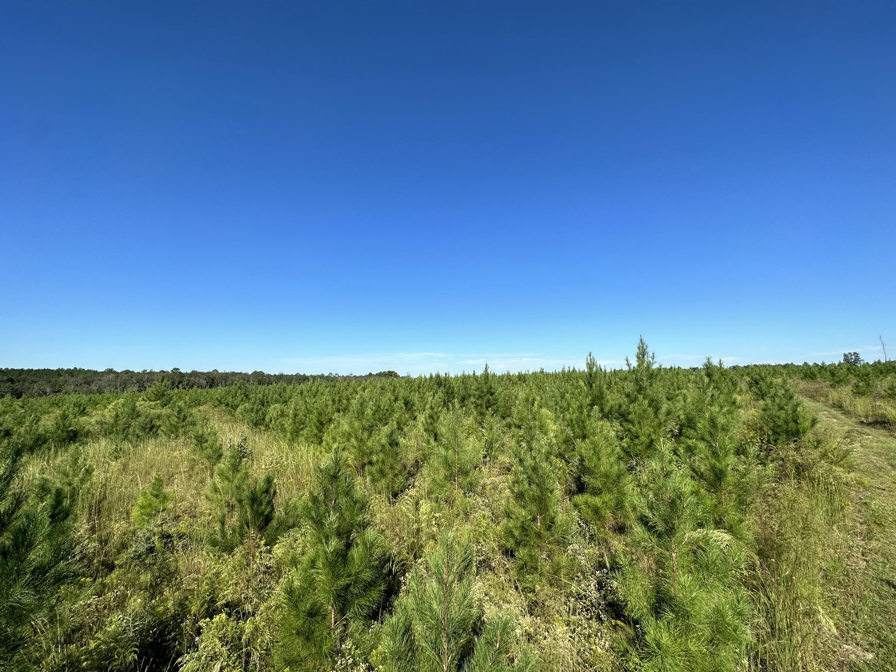 NO RECORDED SUBDIVISION - Land