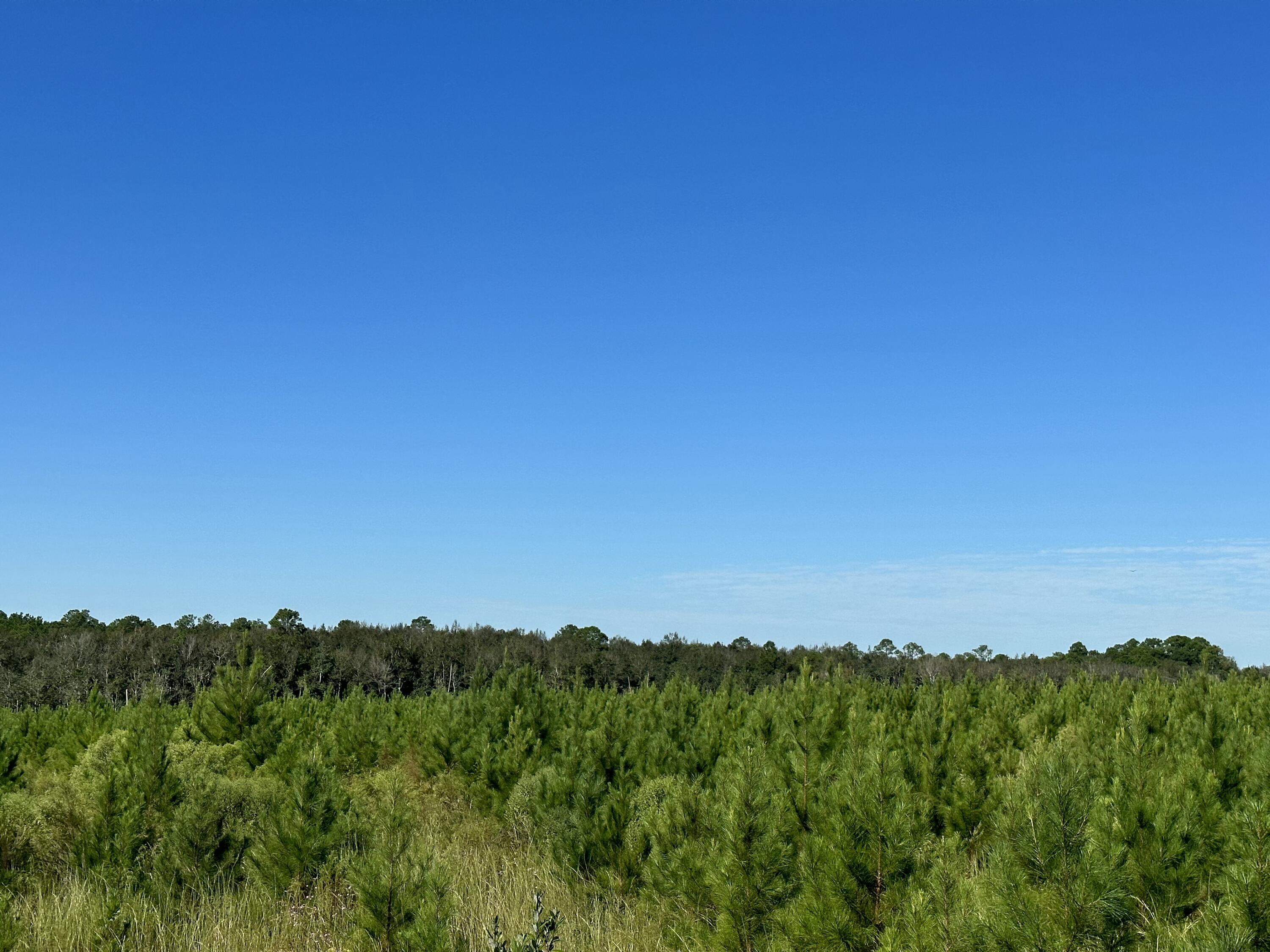 NO RECORDED SUBDIVISION - Land