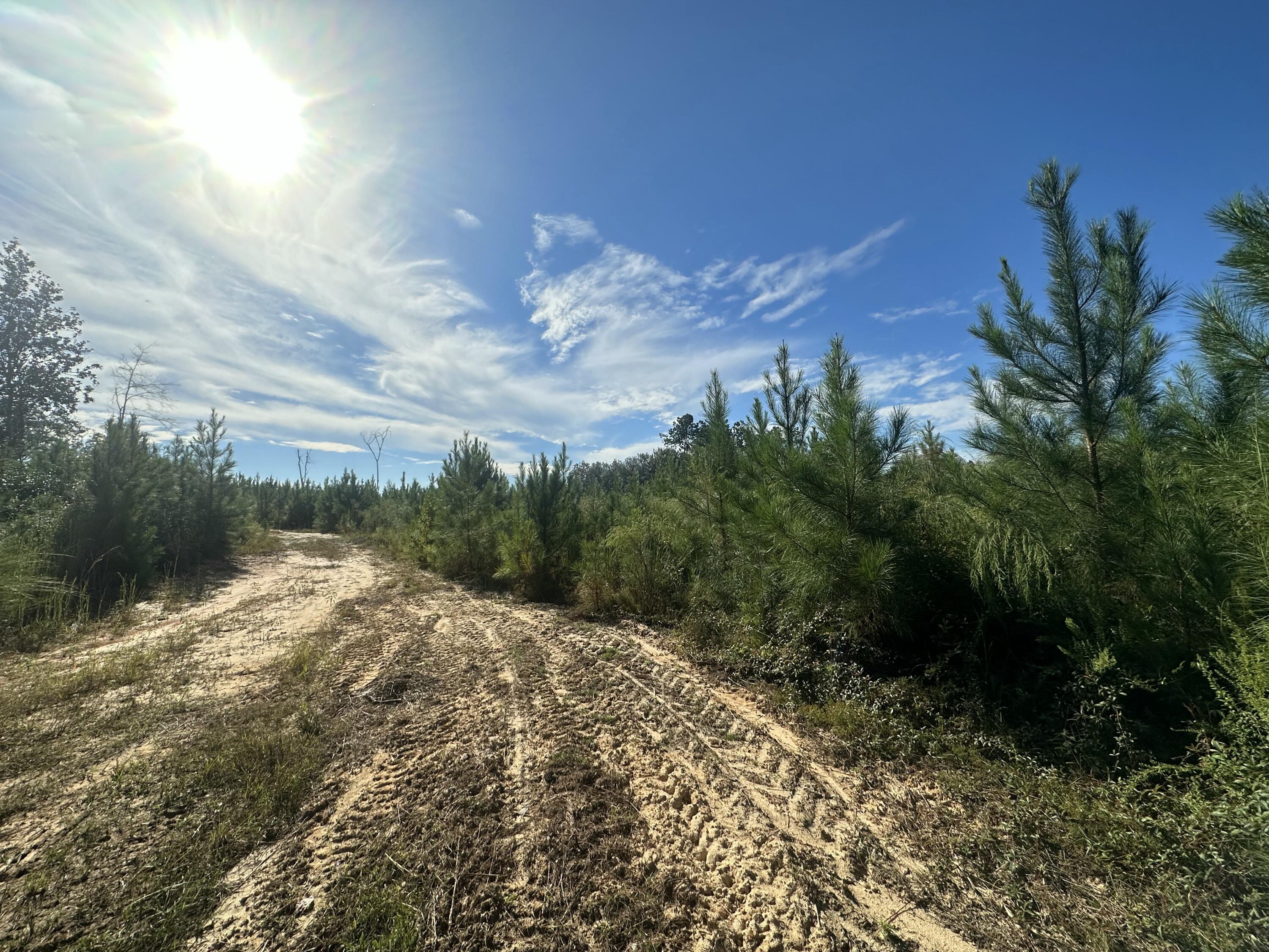NO RECORDED SUBDIVISION - Land