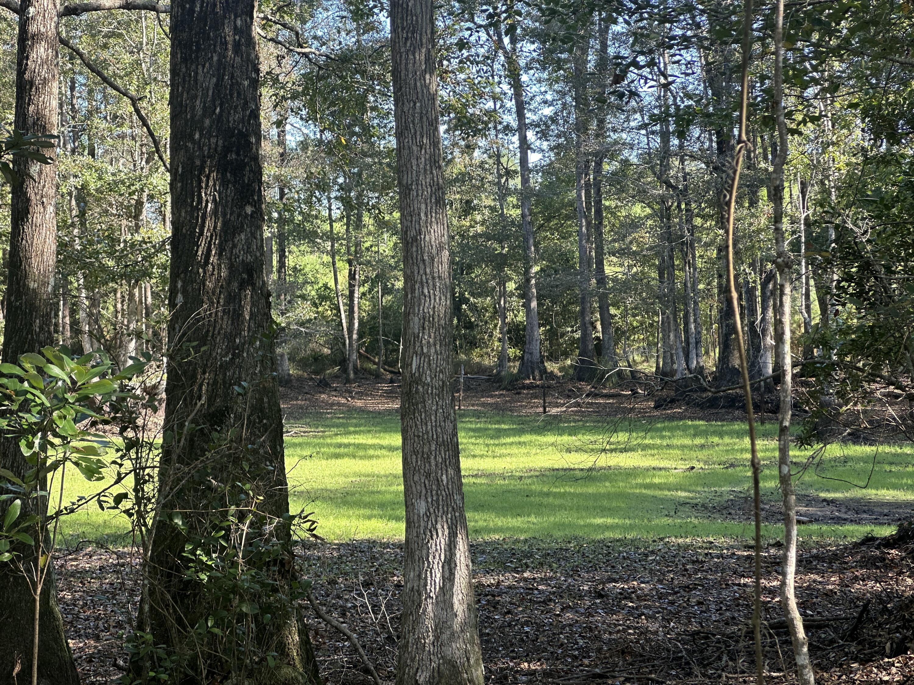 Private North Florida Acreage with Room to Expand! This 10.06 +/- acre parcel offers a quiet, rural escape along Millside Road in Laurel Hill--perfect for a barndominium, mini farm, or weekend retreat. Zoned Agricultural, the land welcomes livestock, gardens, or simply space to enjoy the outdoors. With paving improvements underway on Millside Road, access is improving while the peaceful, lightly developed surroundings remain. Parcel E adjoins Parcel D, a 17.89 +/- acre tract also available for purchase--presenting a rare opportunity to own up to nearly 28 contiguous acres. Shown by appointment only; property is under a hunting lease through July 31, 2025.