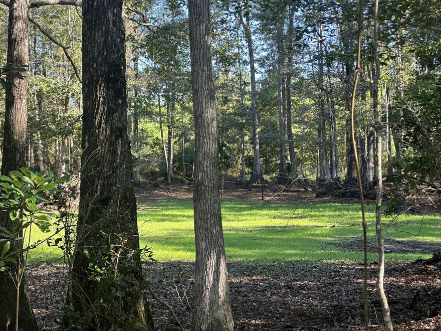 Private North Florida Acreage with Room to Expand! This 10.06&#8239;+/-&#8239;acre parcel offers a quiet, rural escape along Millside Road in Laurel Hill--perfect for a barndominium, mini farm, or weekend retreat. Zoned Agricultural, the land welcomes livestock, gardens, or simply space to enjoy the outdoors. With paving improvements underway on Millside Road, access is improving while the peaceful, lightly developed surroundings remain. Parcel E adjoins Parcel D, a 17.89&#8239;+/-&#8239;acre tract also available for purchase--presenting a rare opportunity to own up to nearly 28 contiguous acres. Shown by appointment only; property is under a hunting lease through July 31, 2025.