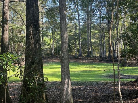 Photo of Parcel E Millside Road, Laurel Hill, FL 32567 (MLS # 980344)