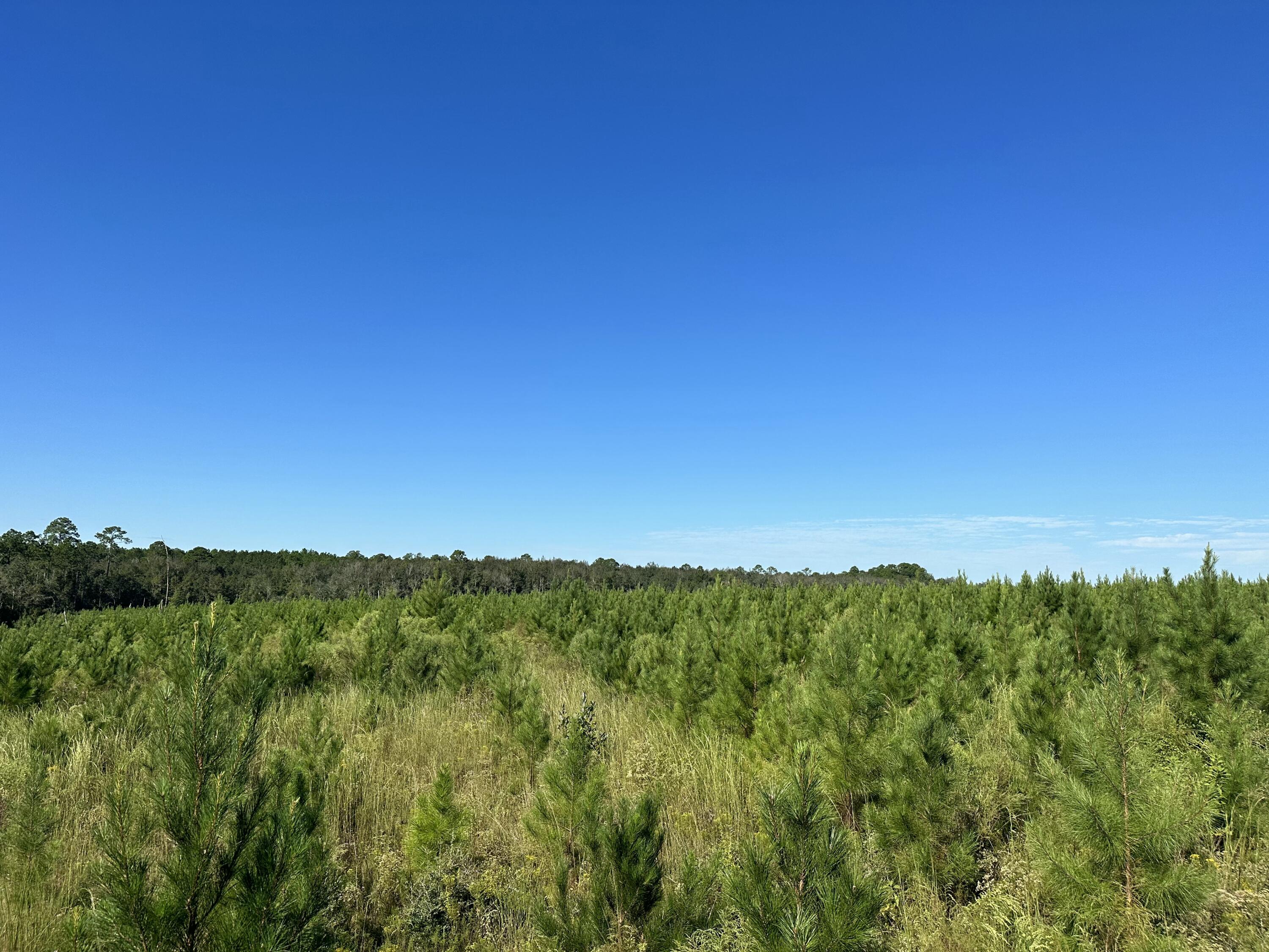 NO RECORDED SUBDIVISION - Land