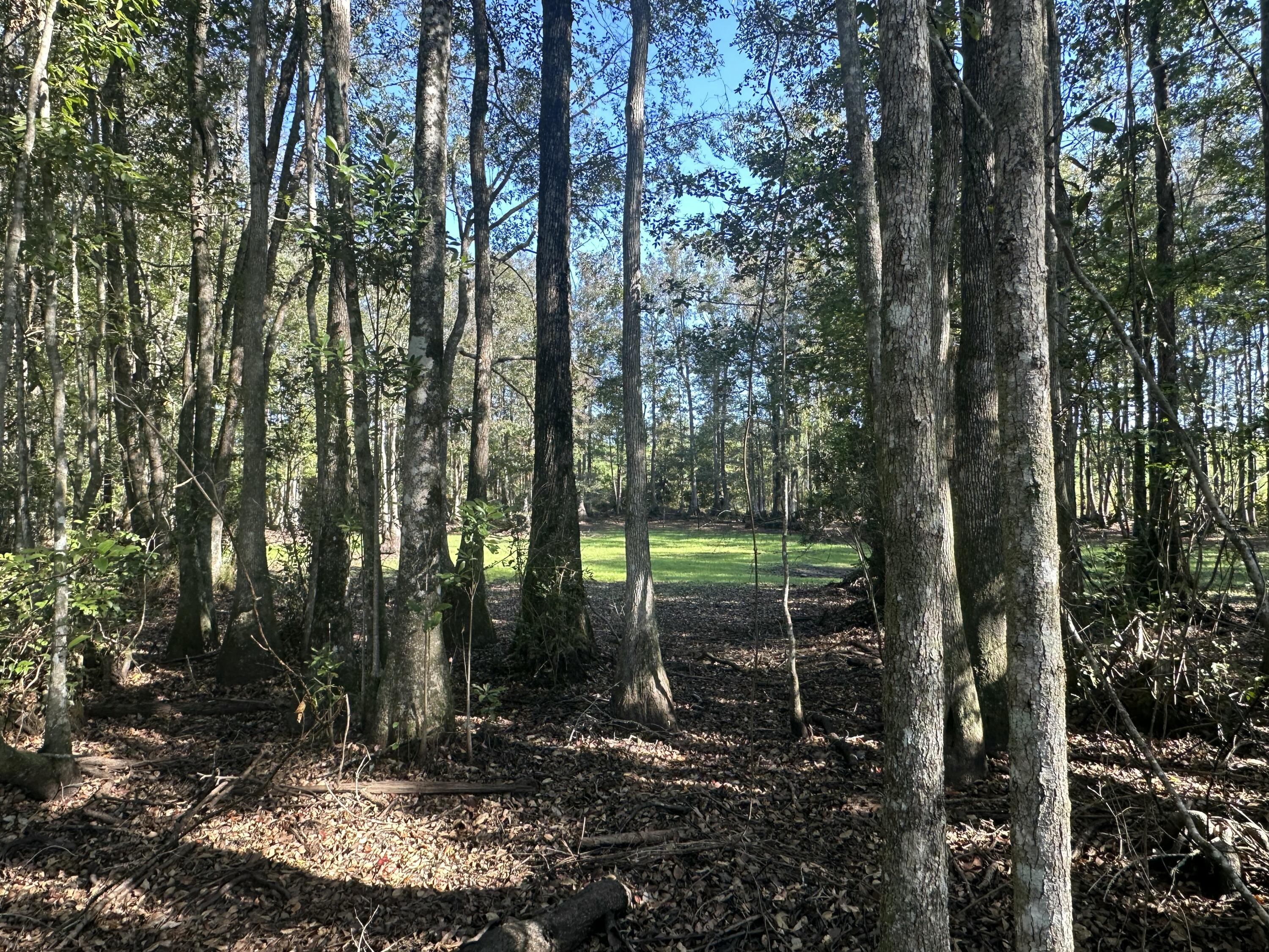 NO RECORDED SUBDIVISION - Land
