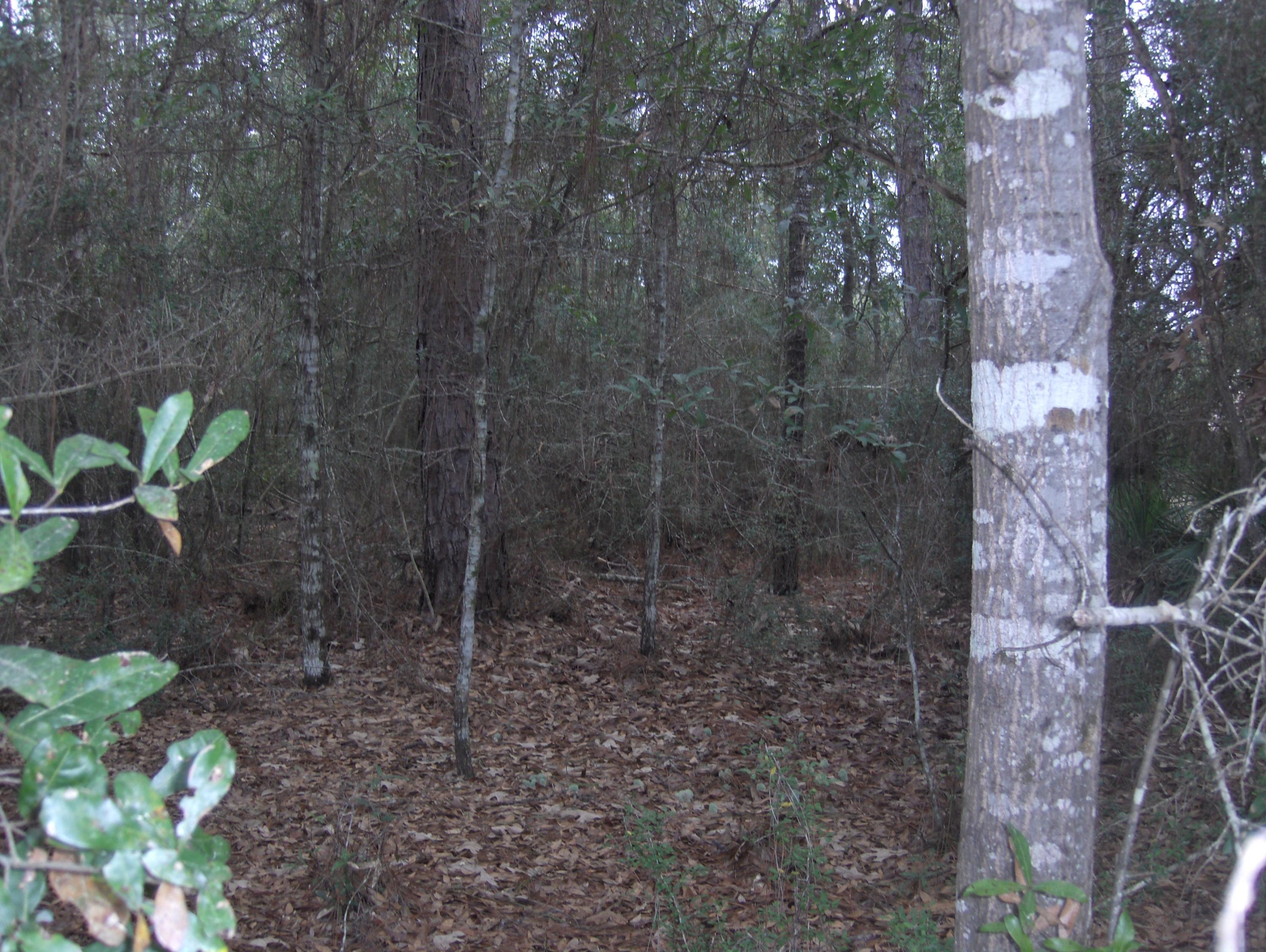 METES & BOUNDS - Land