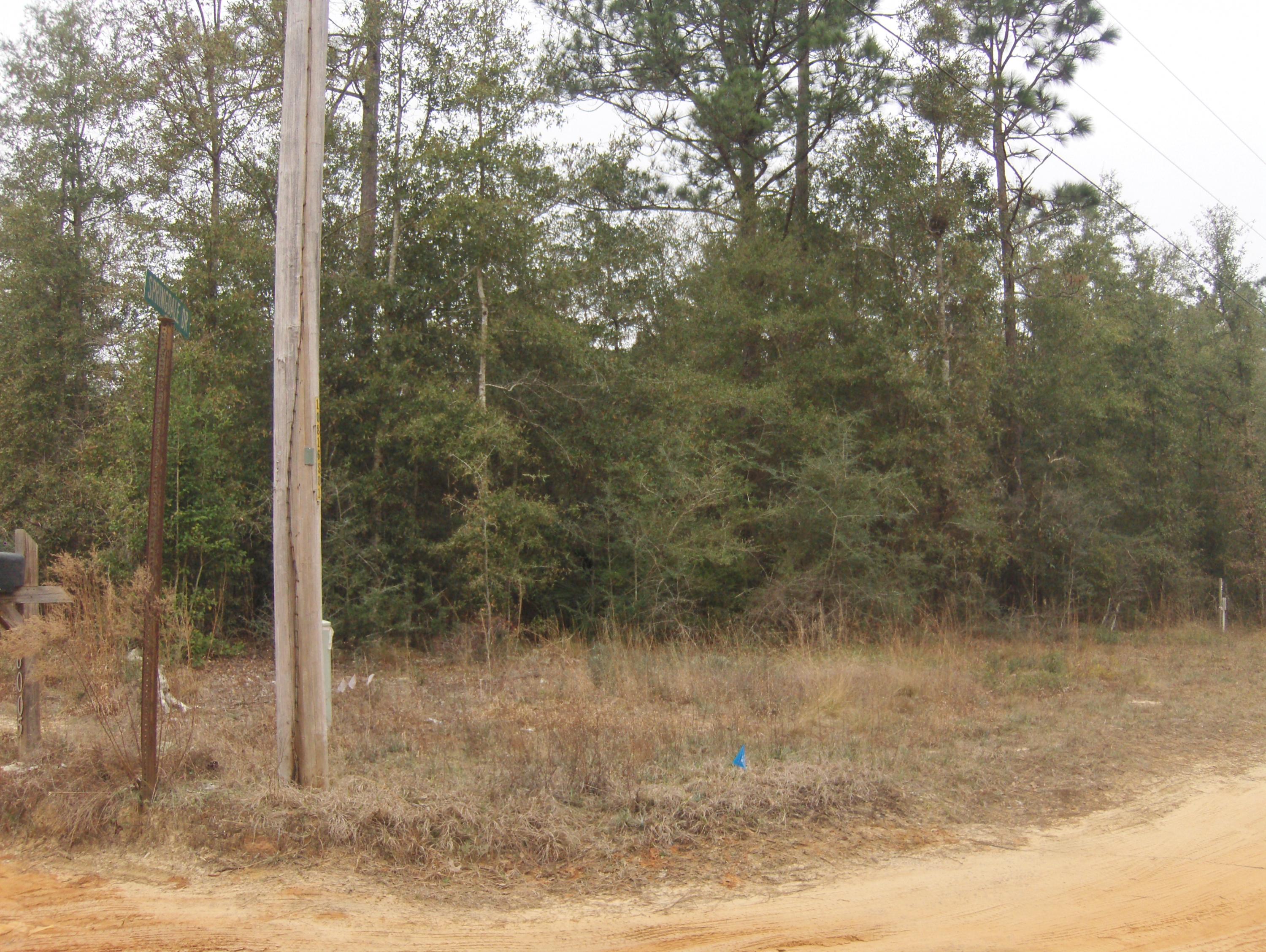 MANUFACTURED HOMES ALLOWED~ 2.26 Acre level, corner lot just waiting for your new home~ Plenty of room to grow and just minutes from the new Publix shopping center and the Winn Dixie Shopping center, post office and schools~ Wooded~