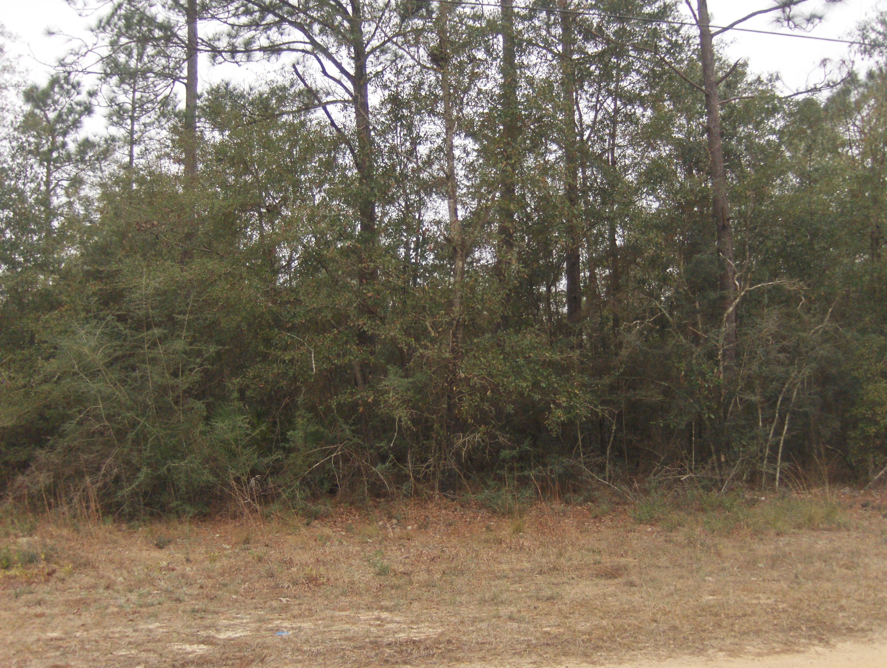 METES & BOUNDS - Land