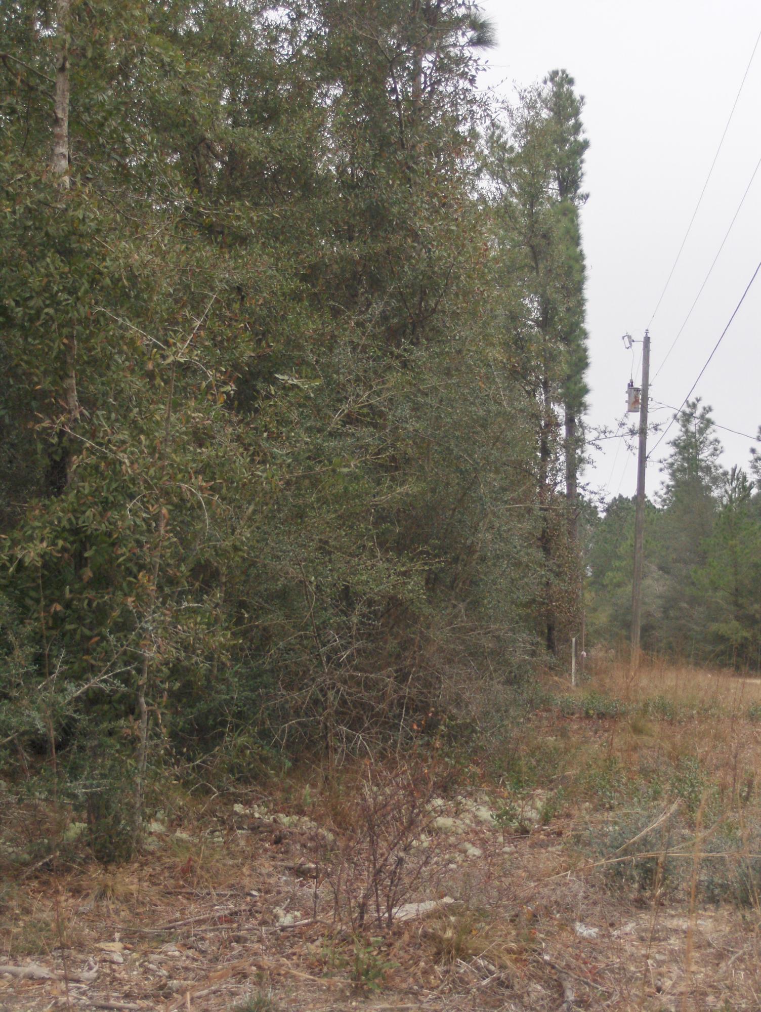 METES & BOUNDS - Land