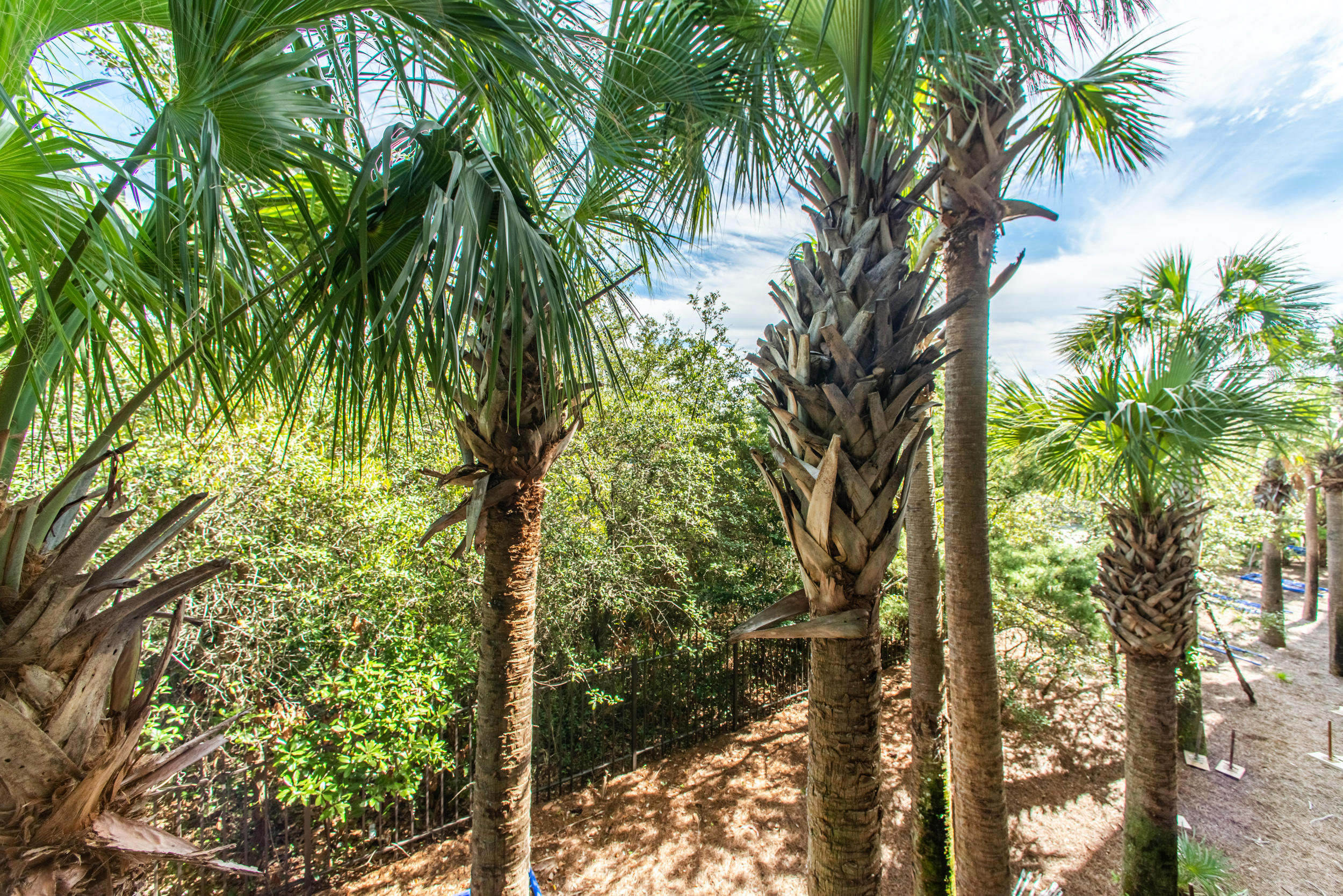 Alerio - Residential