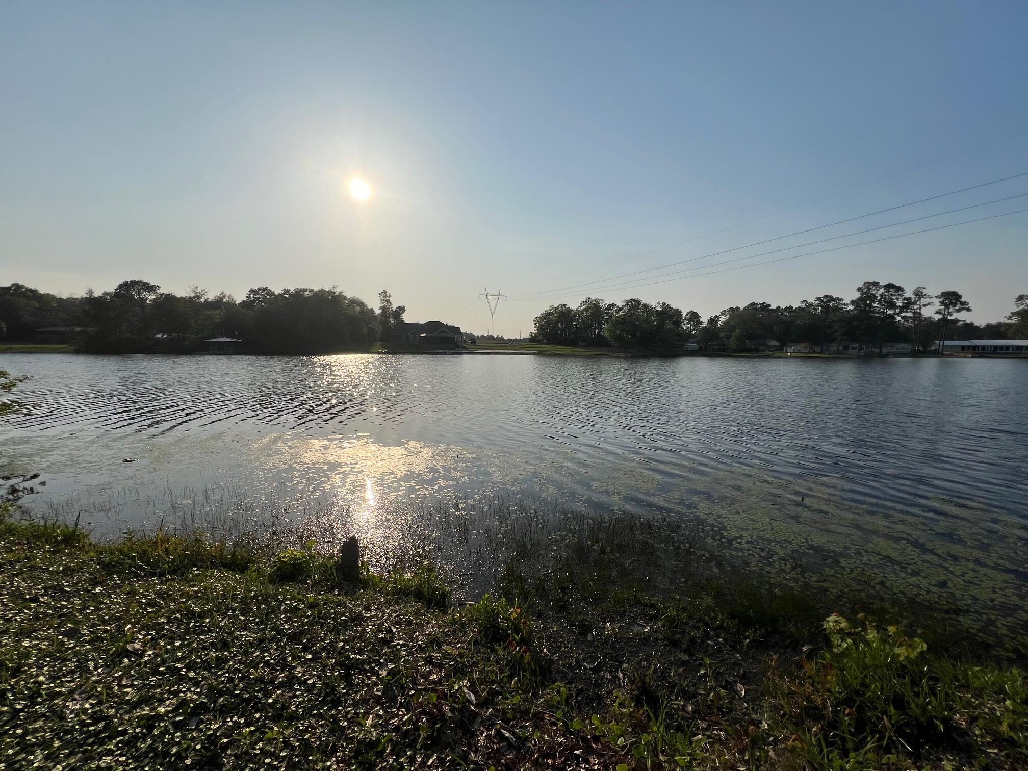 MEADOW LAKE ESTATES - Residential