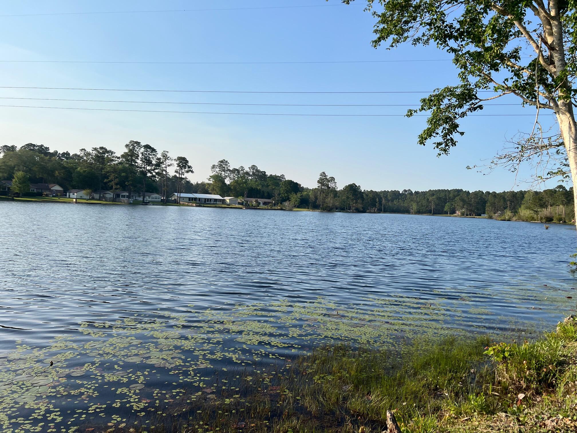 MEADOW LAKE ESTATES - Residential