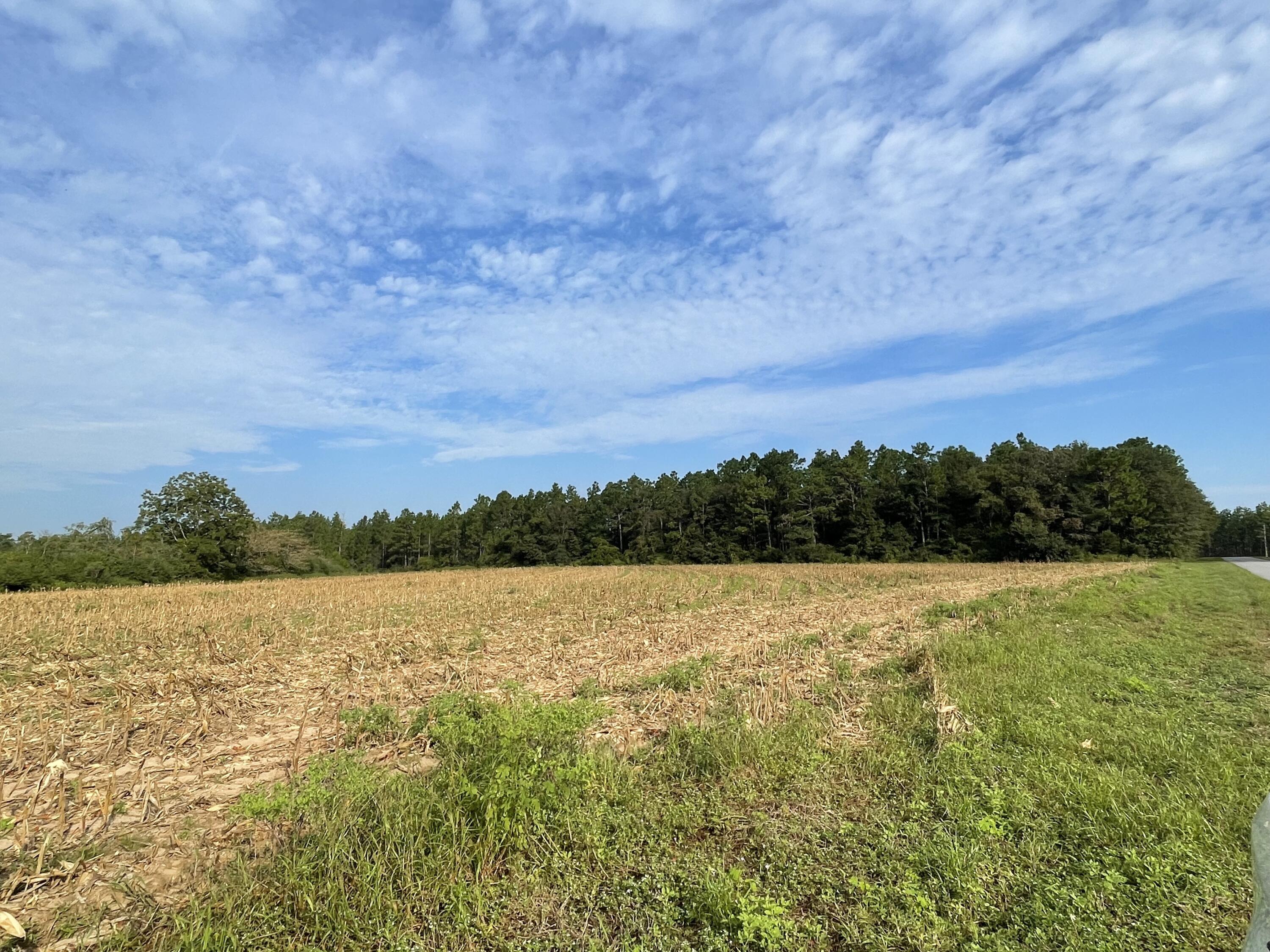 17+/- Ac of land here in Baker, Bring your Build plans and enjoy the peaceful country living. Grab your fishing poles and camping gear because this is Adjoins Blackwater River State Forest! Acreage to b determined by survey offers to be per-acre price.