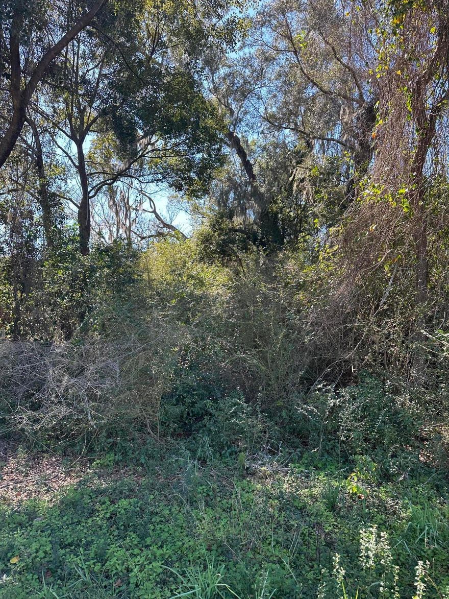 Beautiful building lot available in Bagdad!!