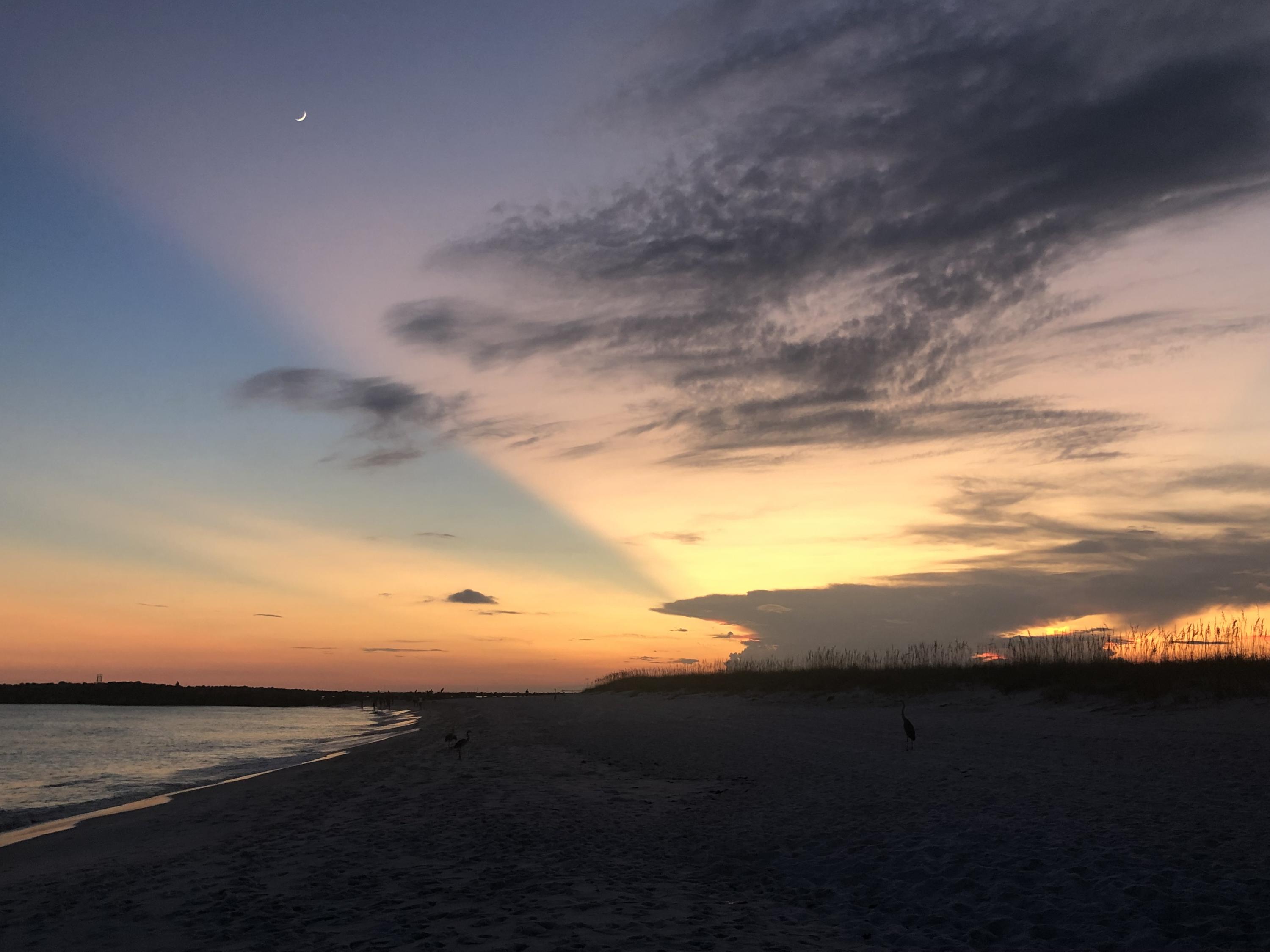 ISLANDER CONDO PH 2 - Residential