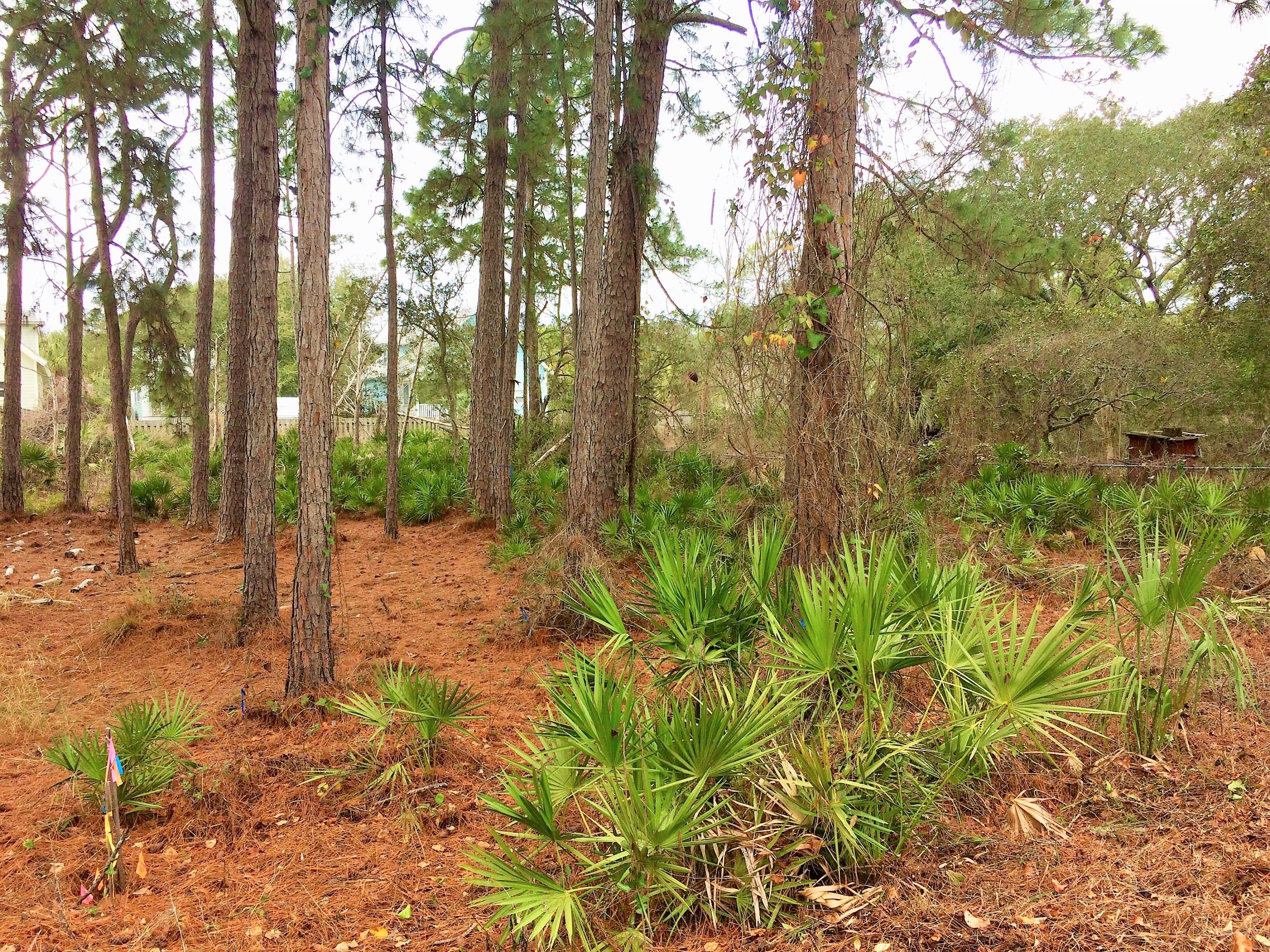 EASTERN LAKE S/D - Land