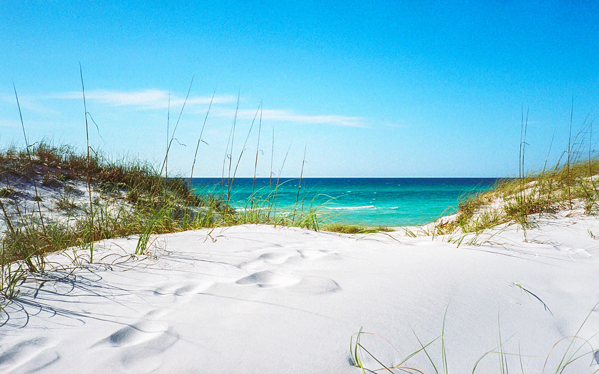 BRYN MAWR PARK 1ST ADD - Residential