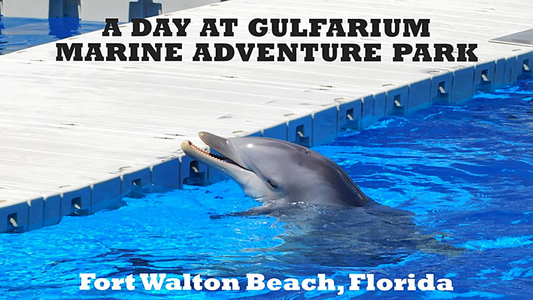 BRYN MAWR PARK 1ST ADD - Residential