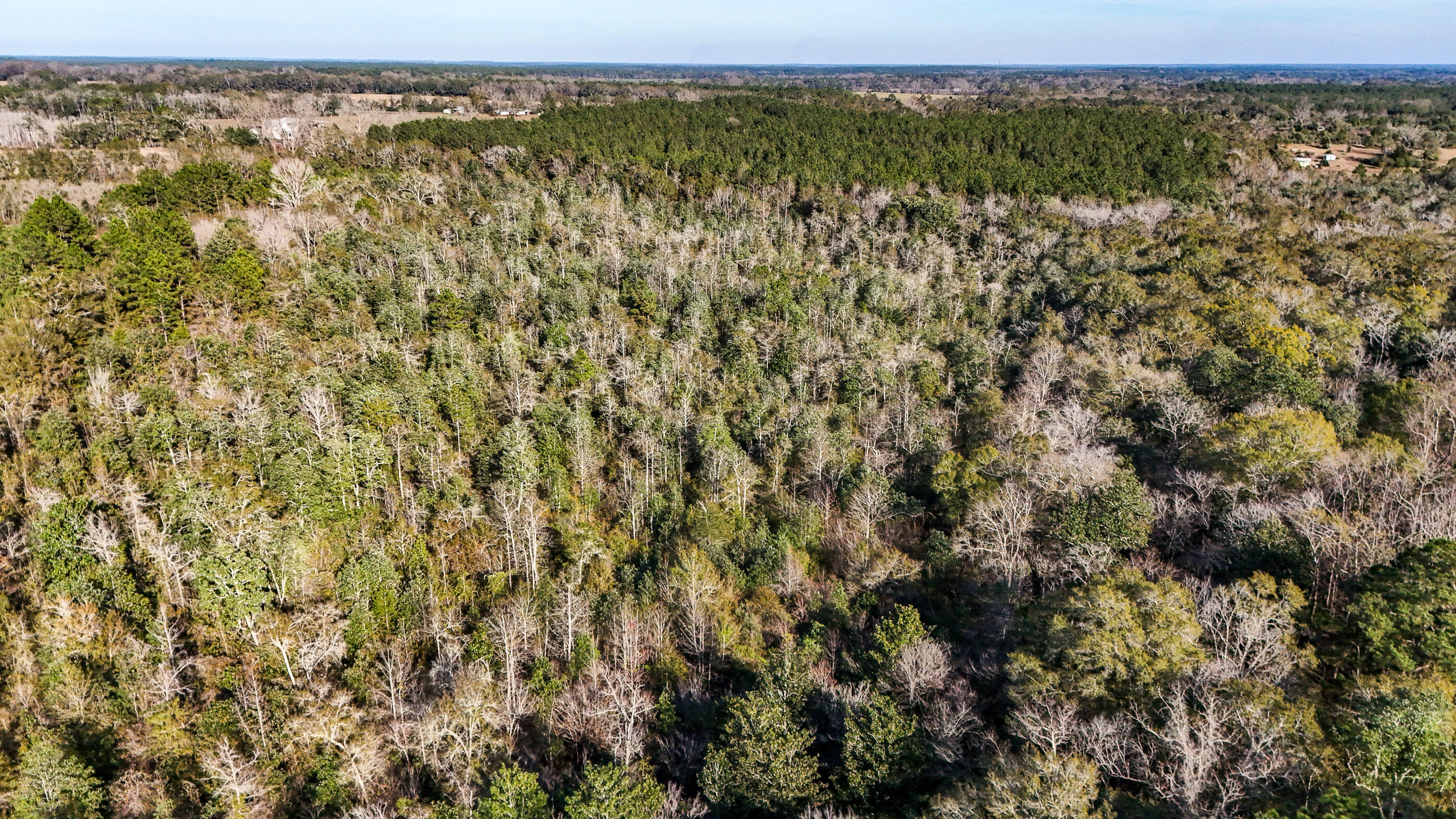 METES & BOUNDS - Farm