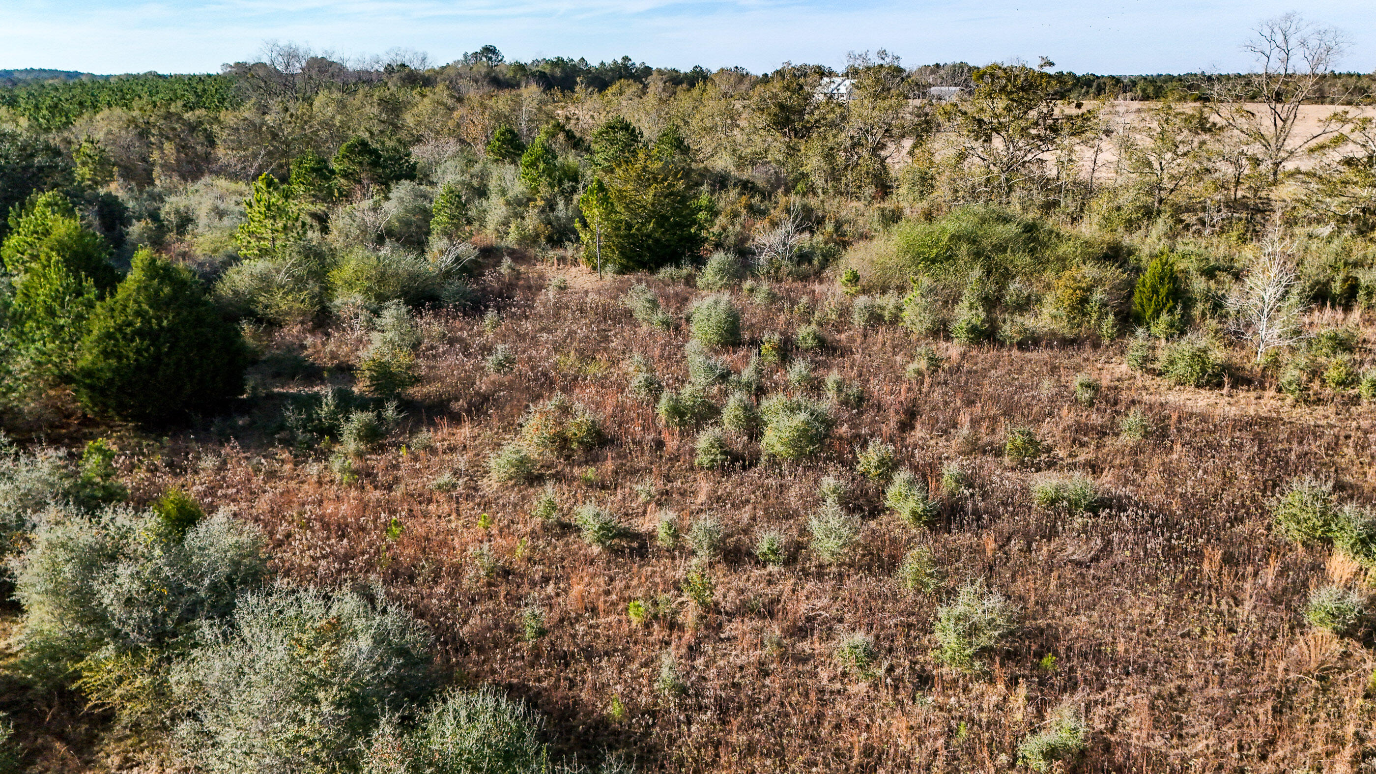 METES & BOUNDS - Farm