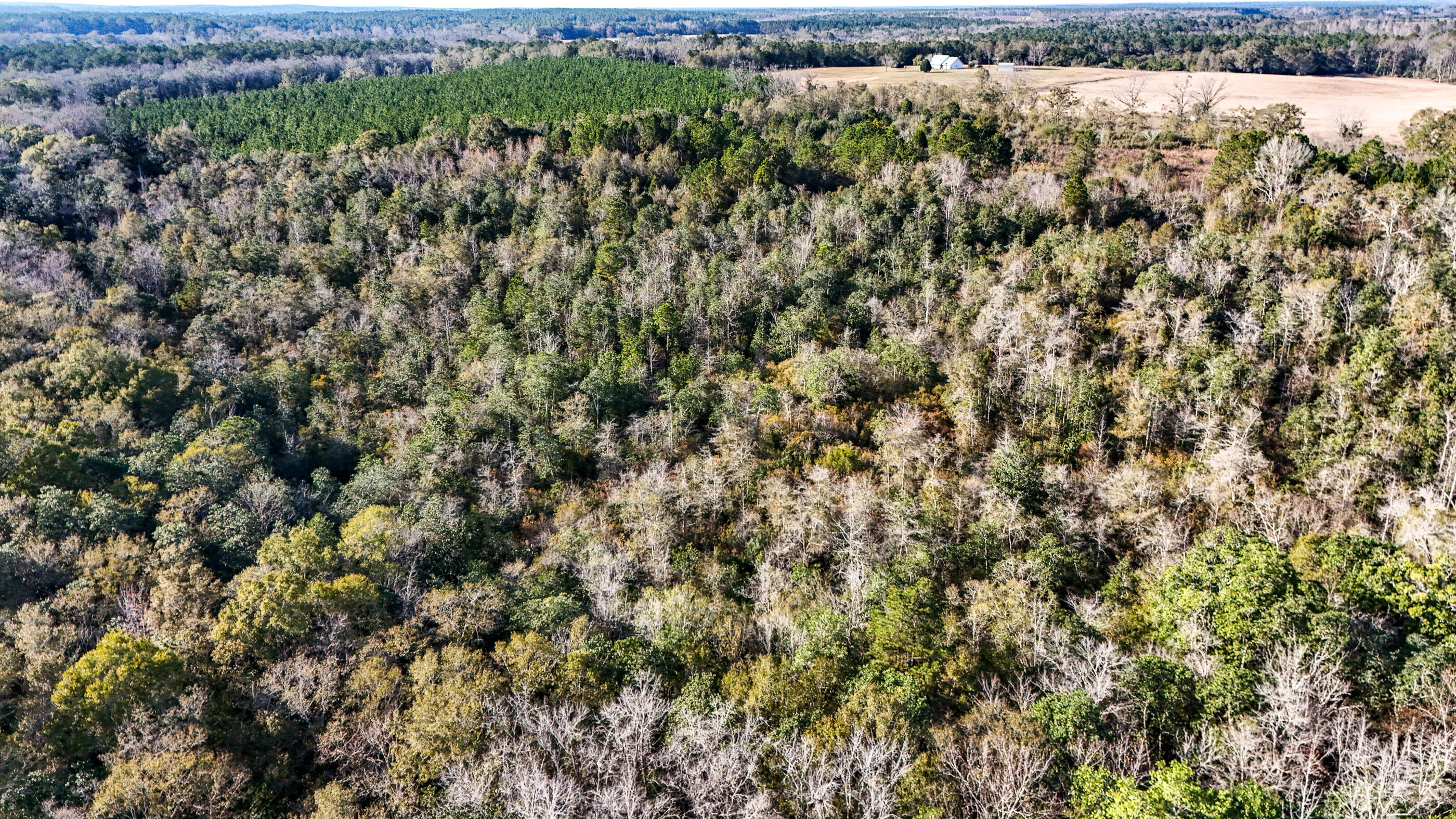 METES & BOUNDS - Farm