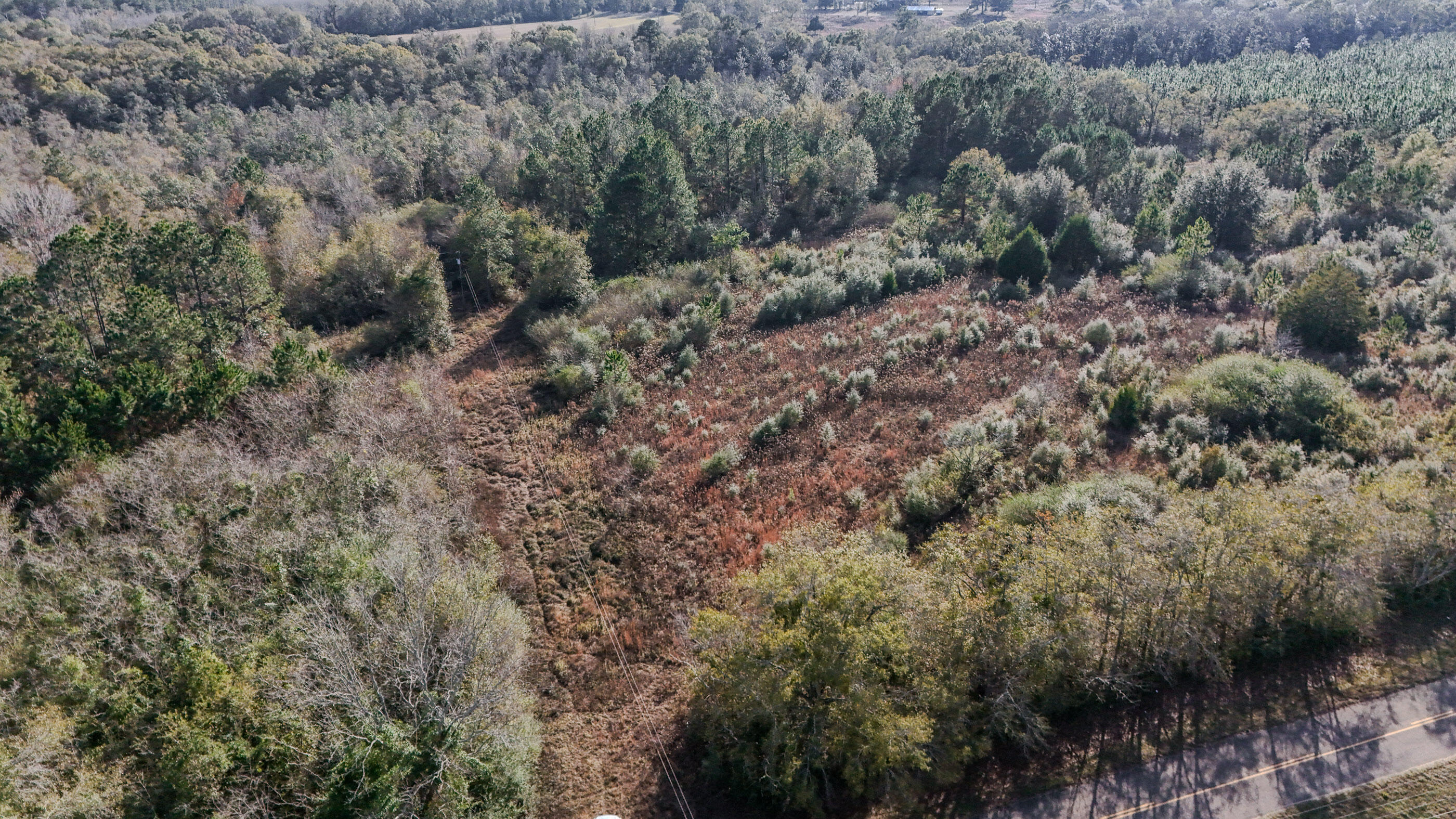 METES & BOUNDS - Farm