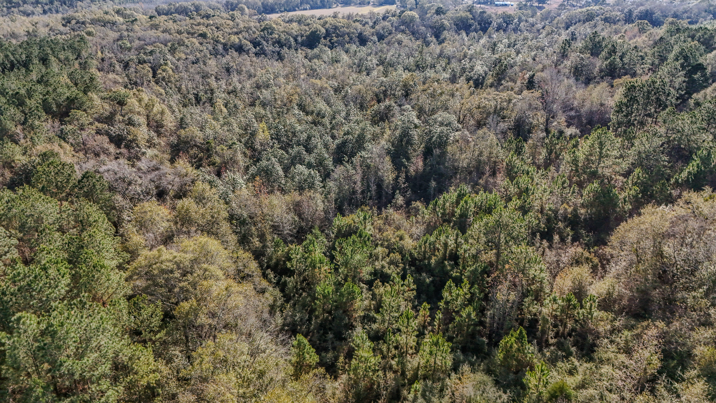 METES & BOUNDS - Farm