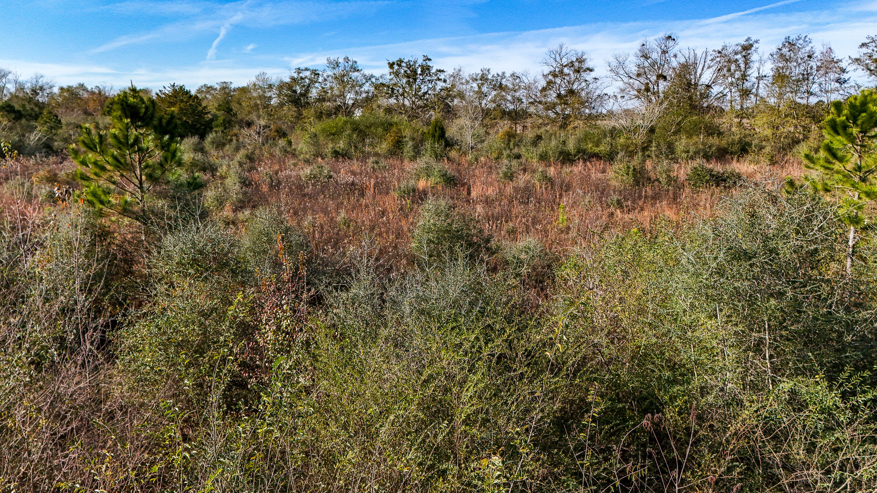 METES & BOUNDS - Farm