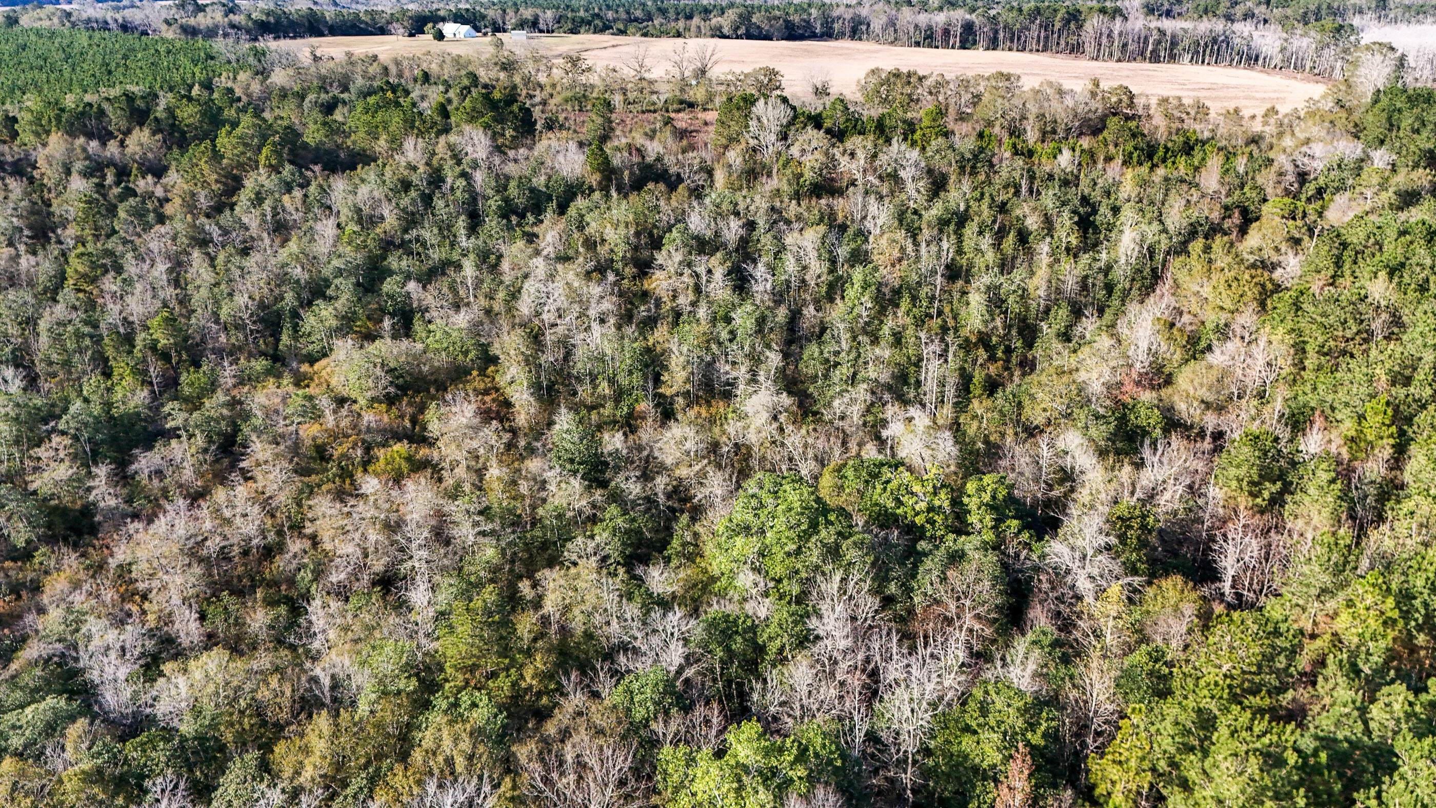 METES & BOUNDS - Farm