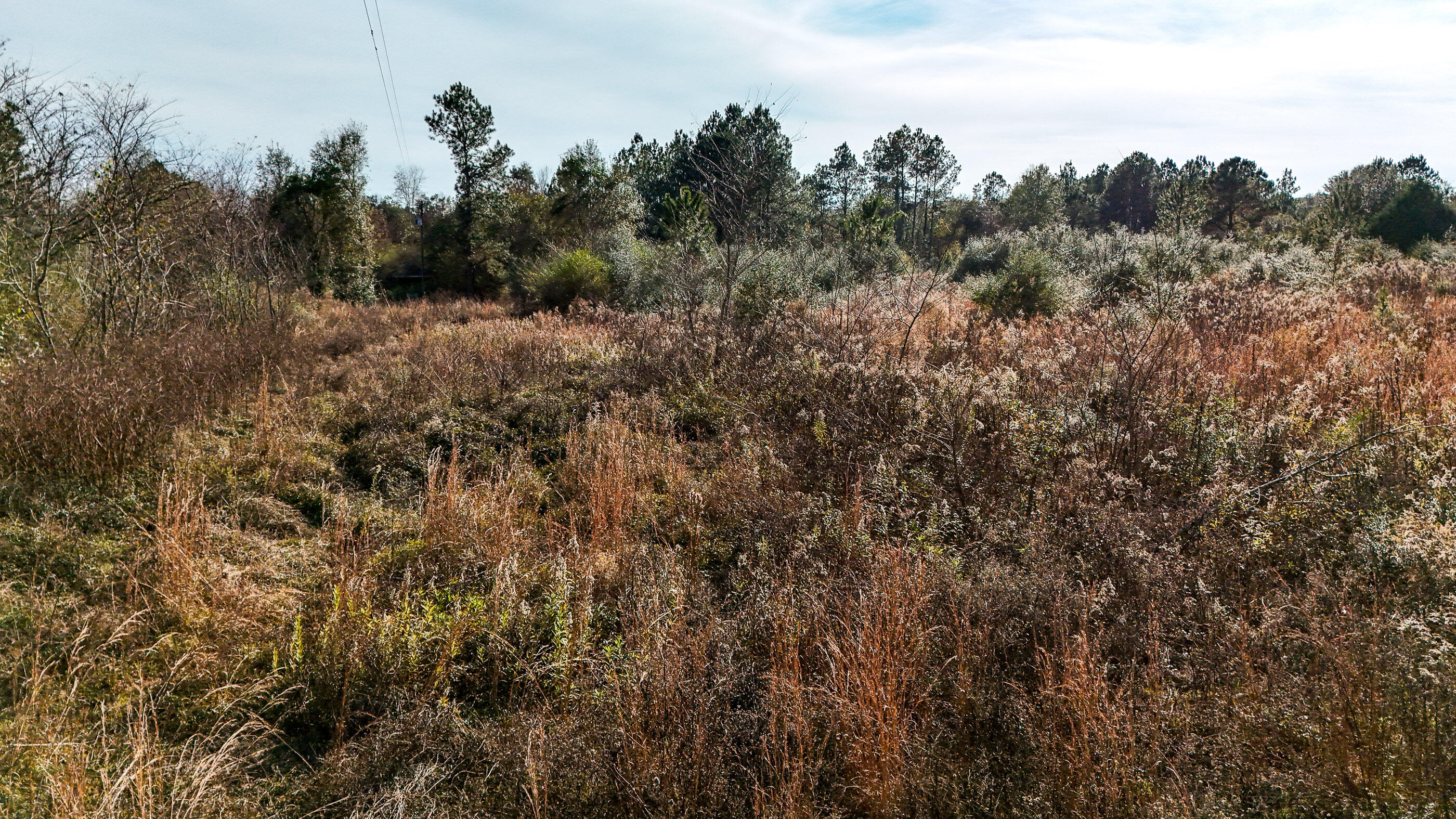 METES & BOUNDS - Farm