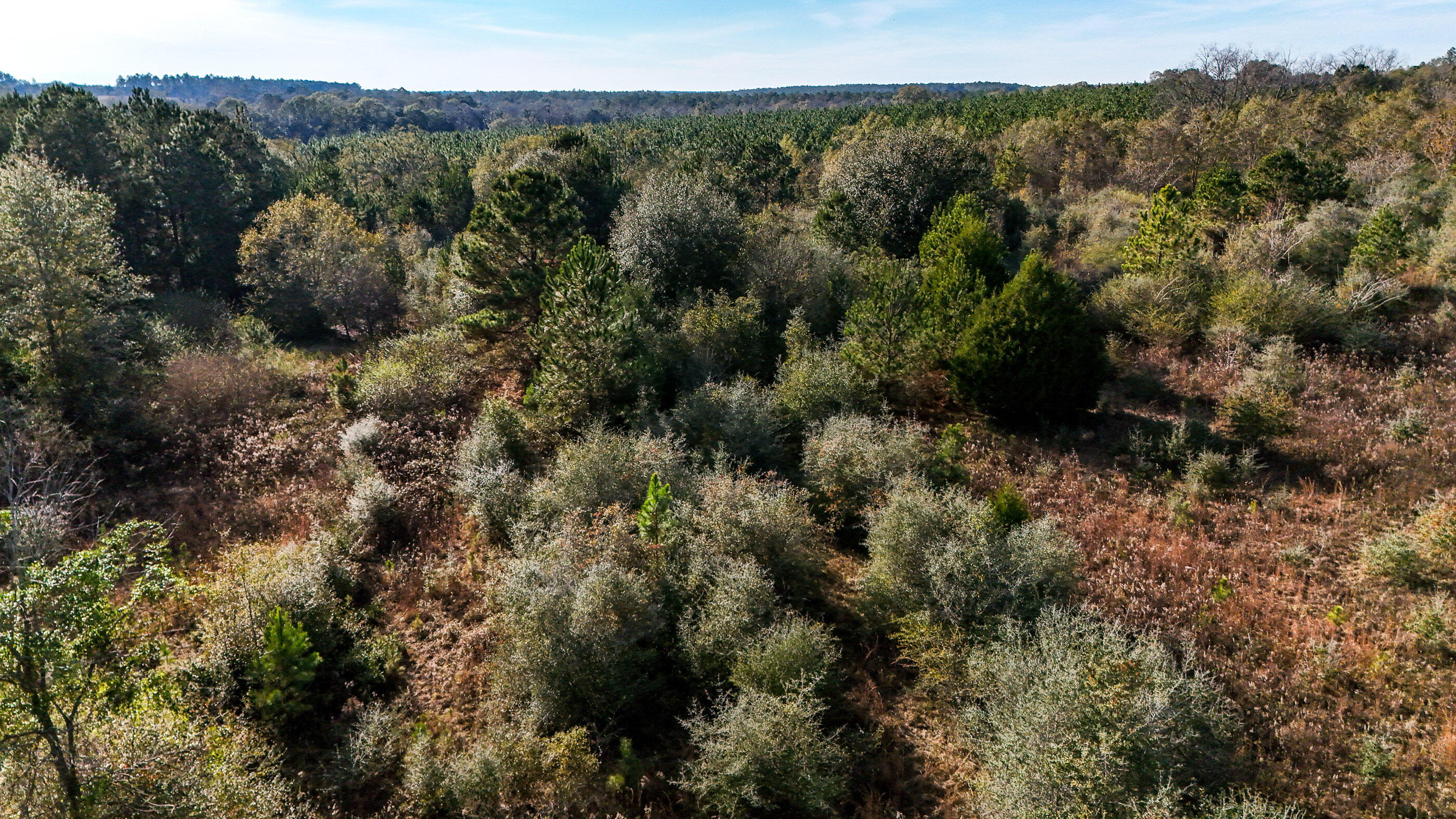 METES & BOUNDS - Farm