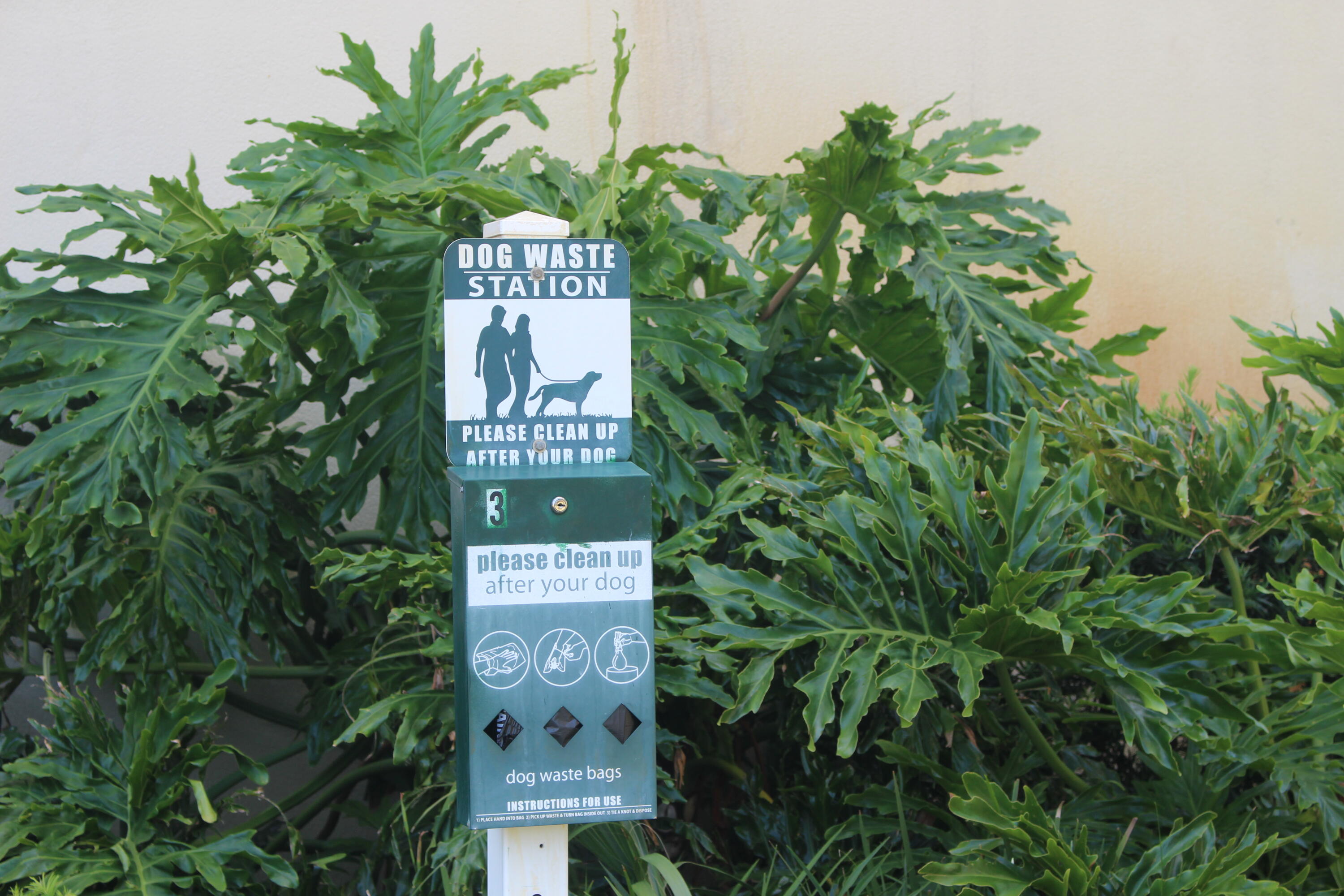 Ariel Dunes I - Residential