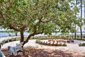 Wild Heron Phase Xl - Land