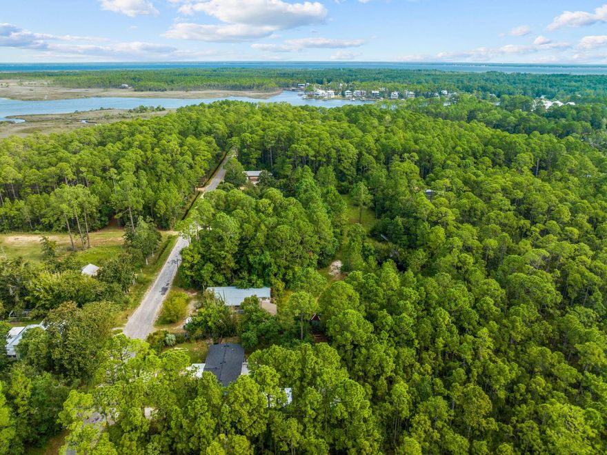 An extraordinary investment opportunity awaits in north Santa Rosa Beach with two oversized lots on 13th Street, plus additional adjacent oversized lots on 12th Street, which can be purchased together to maximize development possibilities. All lots are 10 feet longer than the typical lots in the area.  This unique offering provides unparalleled access to all 12th Street lots via the fully developed 13th Street or Harley Street, making it an exceptional choice for investors and developers seeking a prime location for new projects. Just a short walk from the tranquil bay and a quick 10-minute drive to the pristine beaches of 30A, this expansive property is perfectly positioned to capture the best of both worlds. With Highway 98's dining and retail options only five minutes away, these lots combine convenience with the potential for significant growth in a highly desirable area. Two additional adjacent  lots on 13th Street are available to purchase separately.  This rare assembly of lots, with no wetlands, provides the ideal canvas for a visionary development, offering endless possibilities for residential or investment projects in the heart of Santa Rosa Beach.
