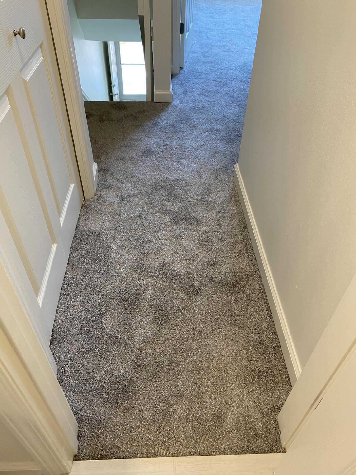 FOREST VIEW T/H - Residential