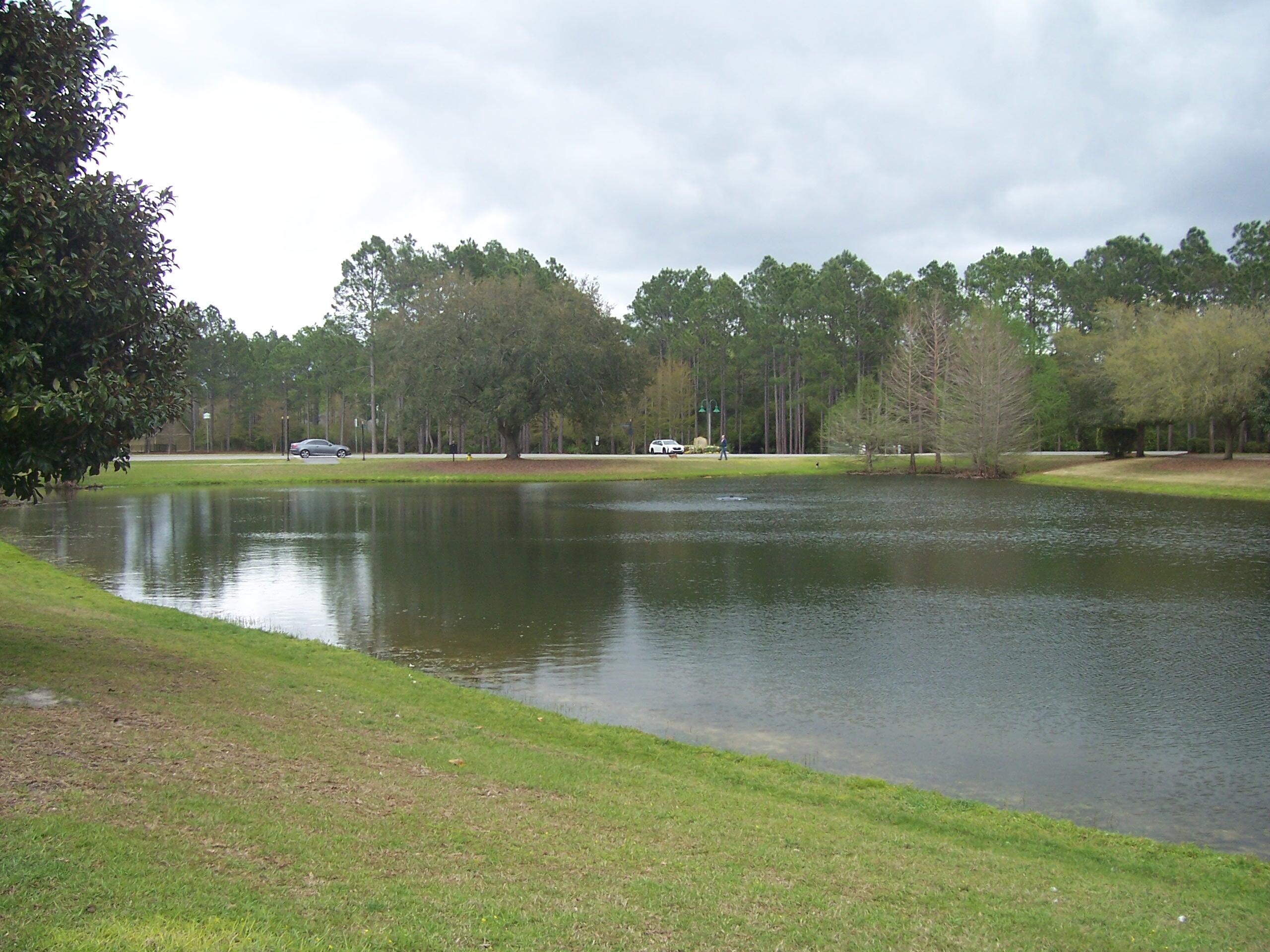 HAMMOCK BAY - Residential