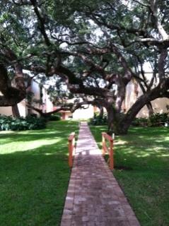 CEDARS CONDO - Residential