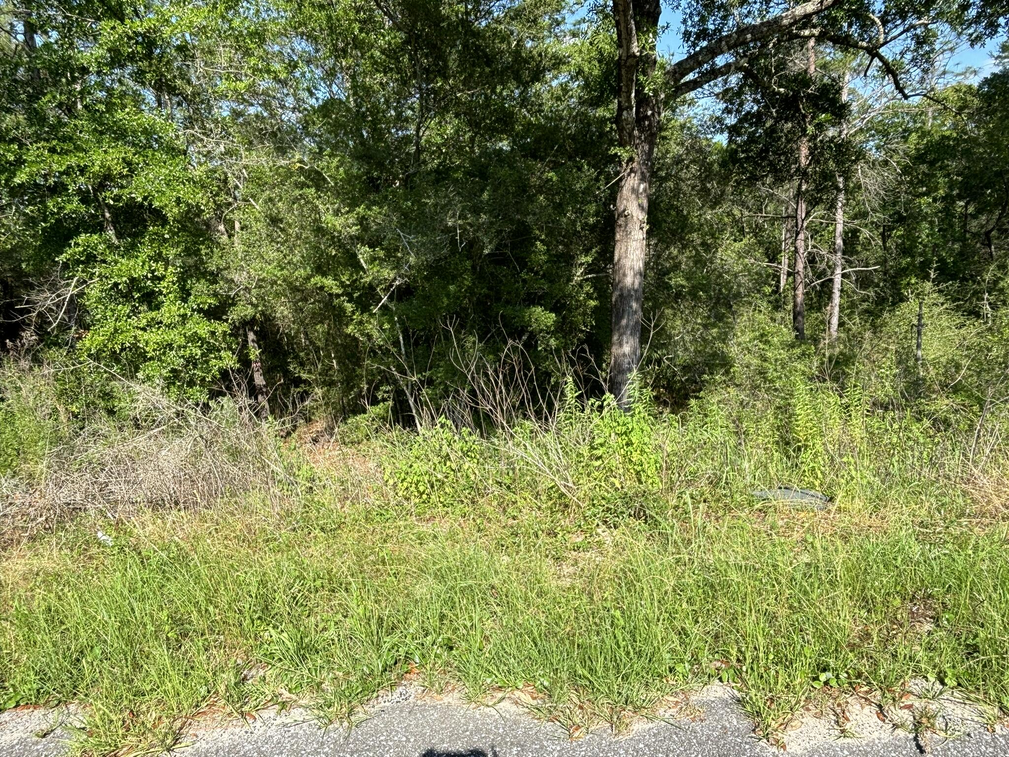 Options abound with this lovely, wooded cul-de-sac lot, nearly a half an acre. Few neighbors and easy access to FL Hwy 90 and I-10. Utilities are connected next door, so new connection to this lot will be easy. The county maintained paved road adds to the ease of creating your homestead paradise, just east of Mossy Head. Come by and imagine what you can do to make this home!
