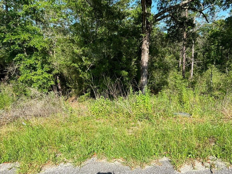 Options abound with this lovely, wooded cul-de-sac lot, nearly a half an acre. Few neighbors and easy access to FL Hwy 90 and I-10.  Utilities are connected next door, so new connection to this lot will be easy. The county maintained paved road adds to the ease of creating your homestead paradise, just east of Mossy Head.  Come by and imagine what you can do to make this home!