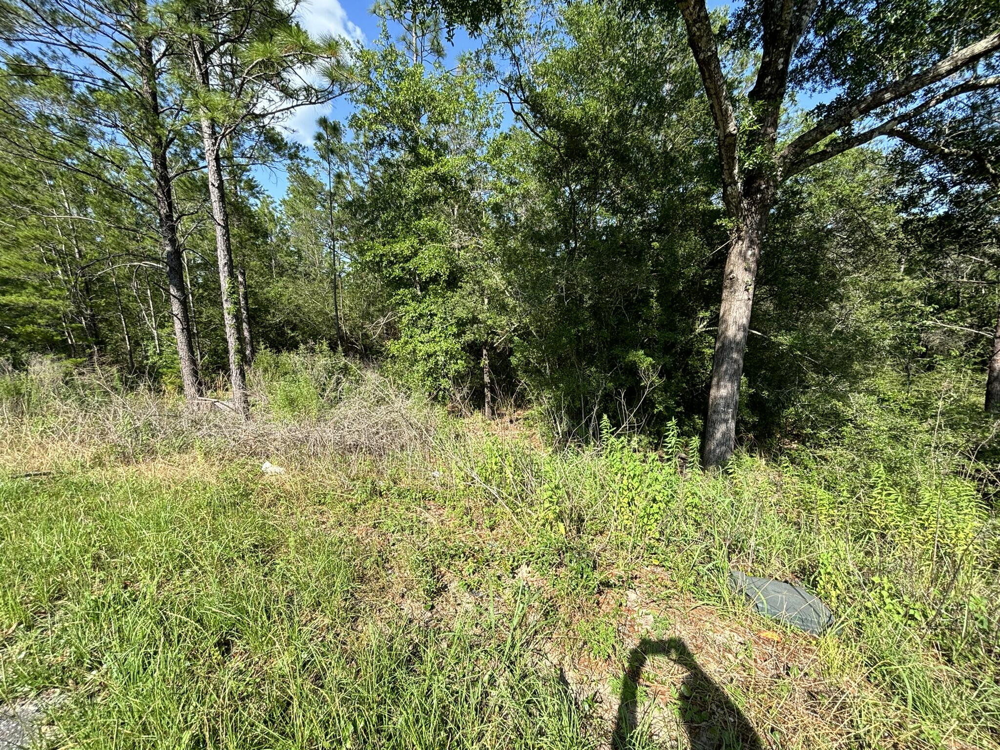 OAKWOOD HILLS - Land