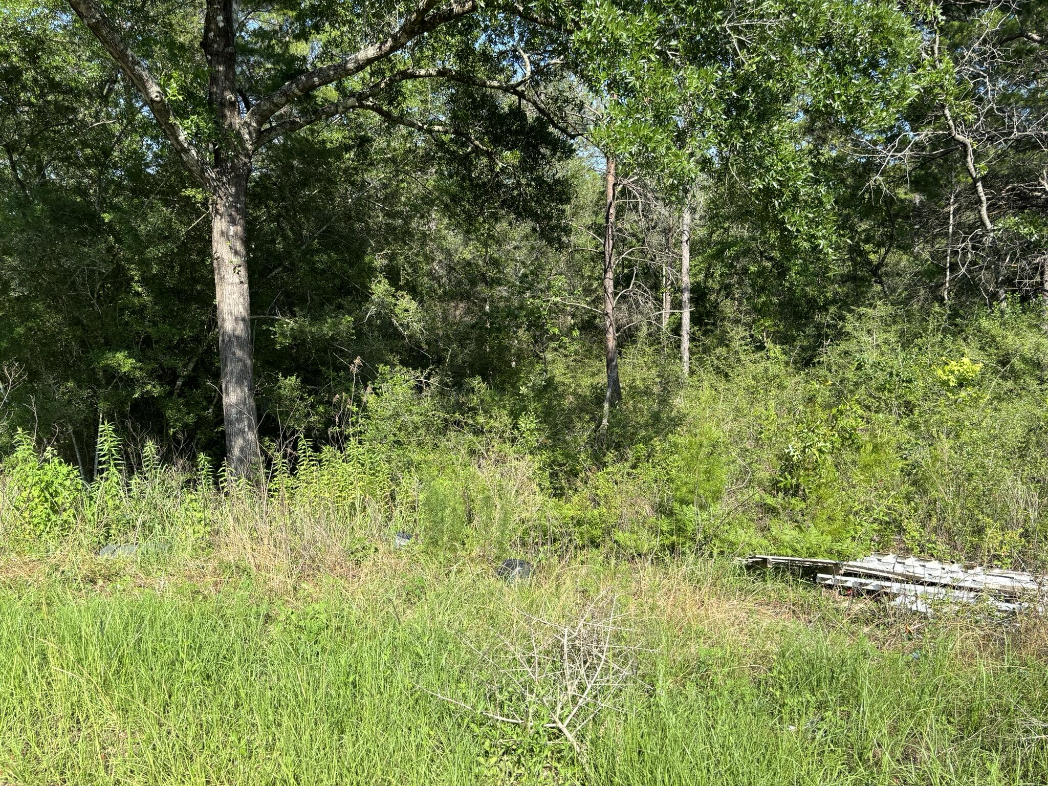 OAKWOOD HILLS - Land