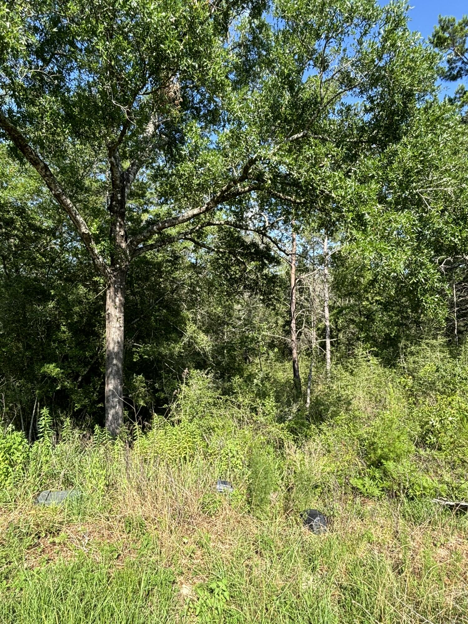 OAKWOOD HILLS - Land