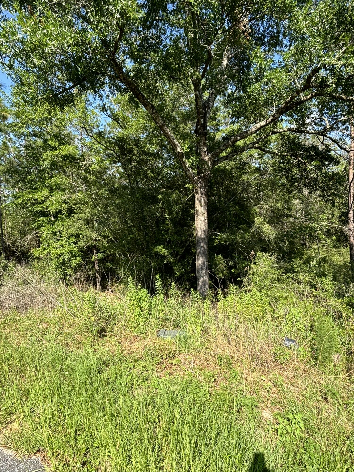 OAKWOOD HILLS - Land
