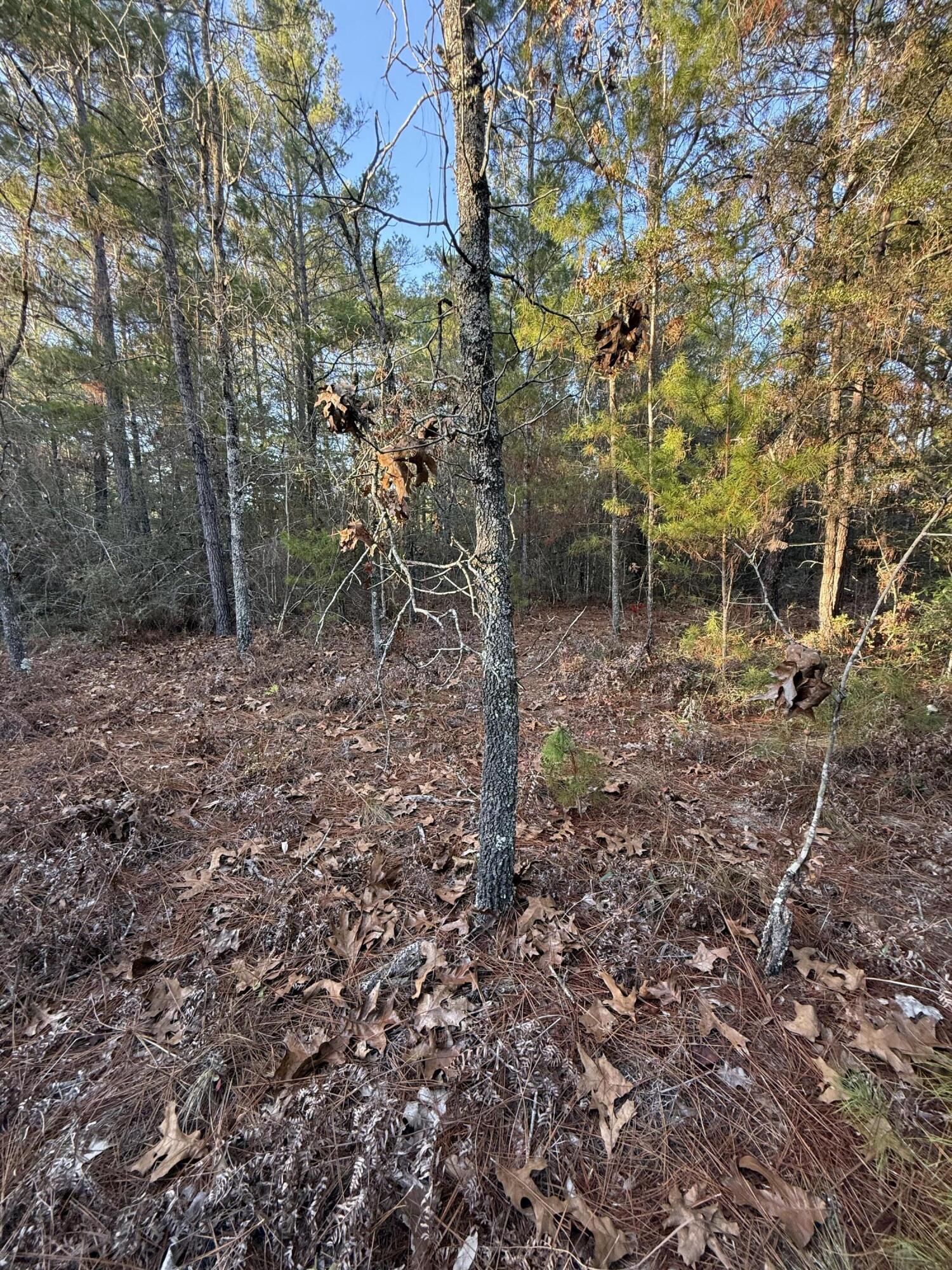 OAKWOOD HILLS UNIT 3 - Land