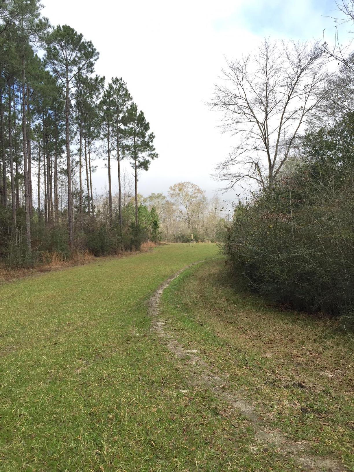 Paved road and Hardwoods. Massive oak trees!!! Lots of fishing and hunting! Bring your dream home plans and come see this one today!!!! Seller Reserves mineral rights.