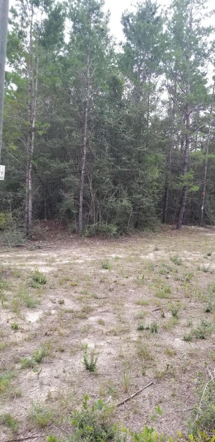 Block 2 is sold bit Block 1 and 3 still available. Beautiful wooded property just waiting for you to build on. Access is directly off Watson Road. Close to the interstate and the beautiful beaches. Wet land Delineation already completed so that will save you time and money and seller also has a permit to clear the property.